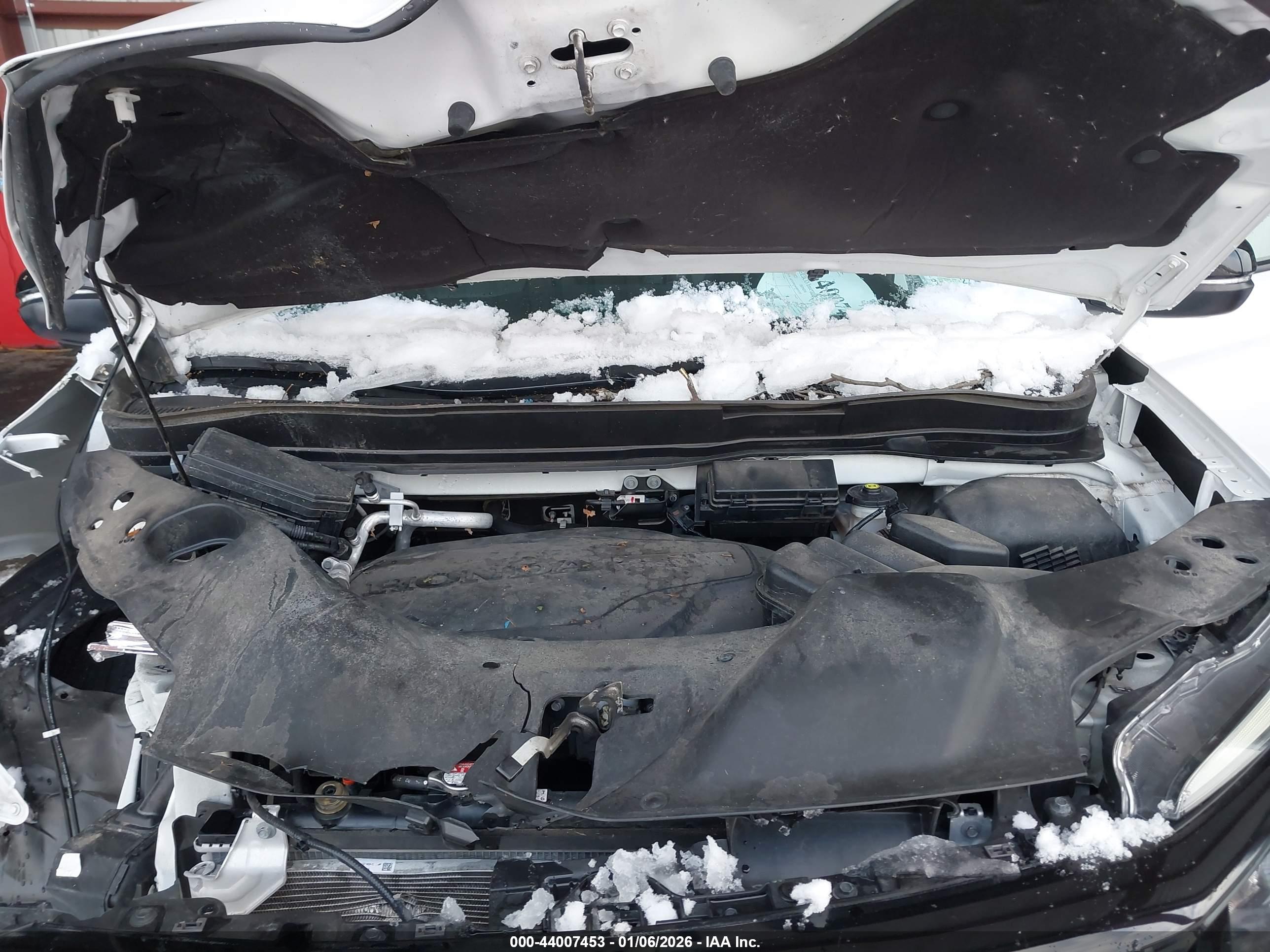 HONDA PASSPORT image 10