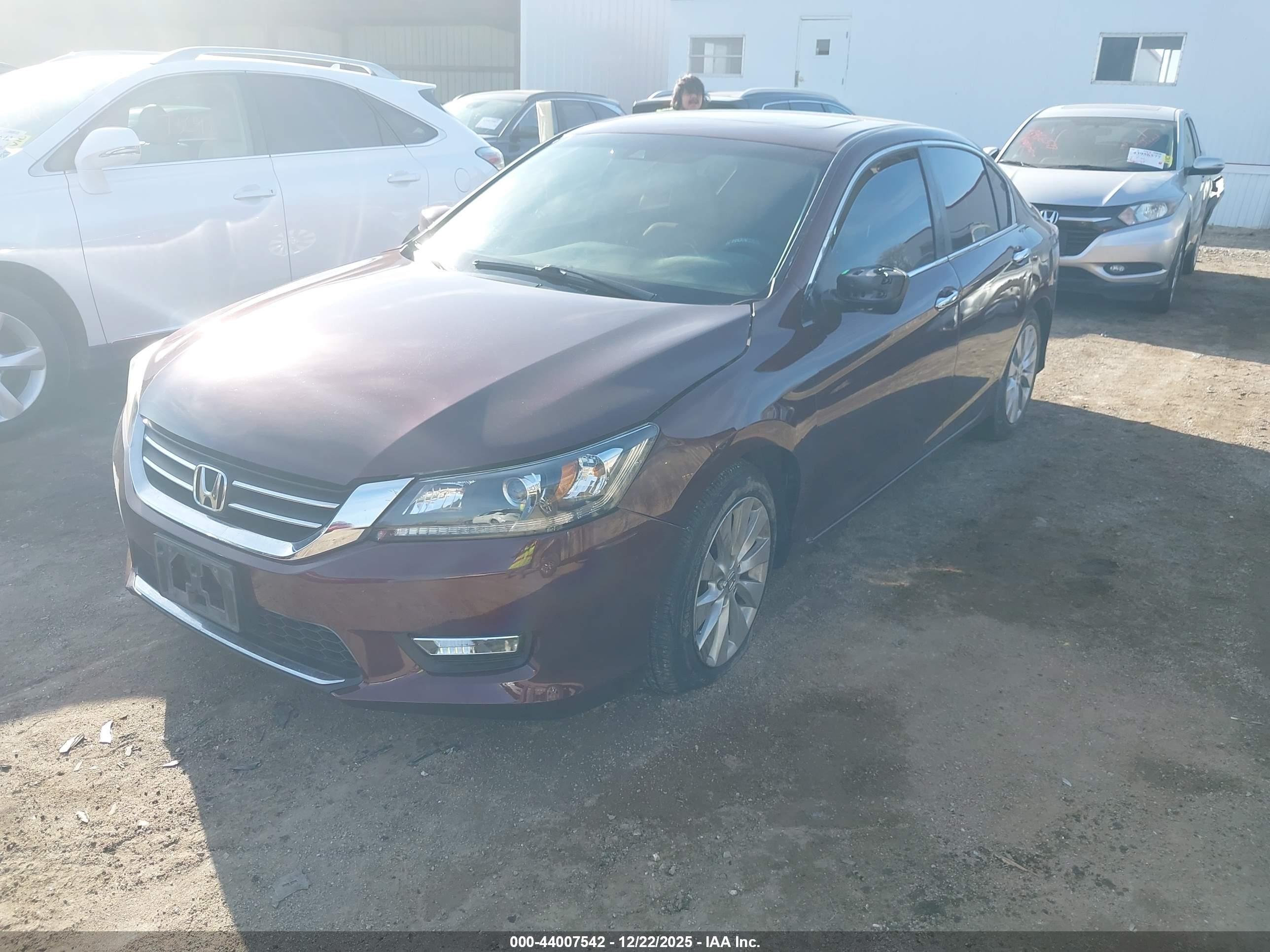 HONDA ACCORD image 2