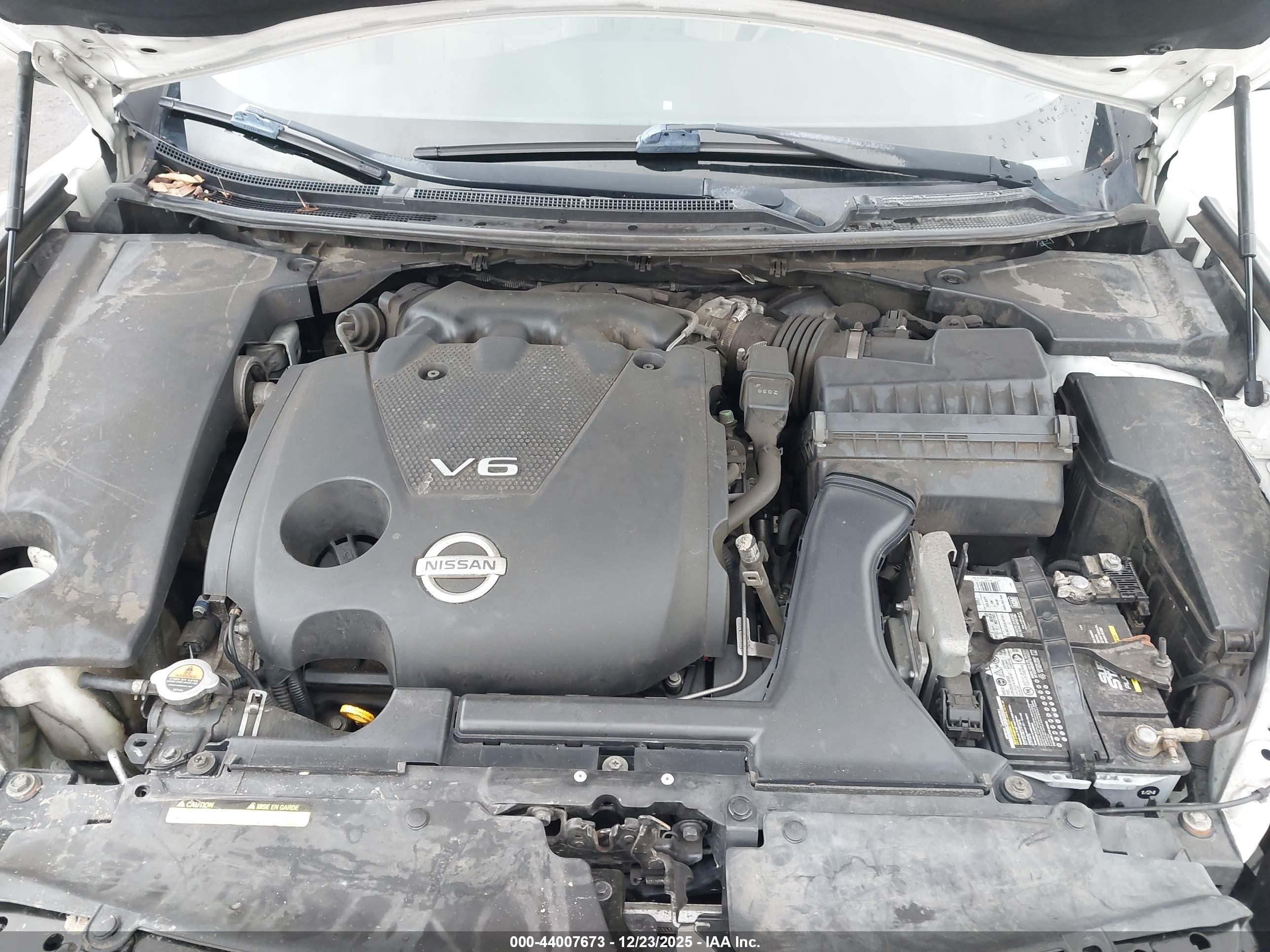 NISSAN MAXIMA image 10