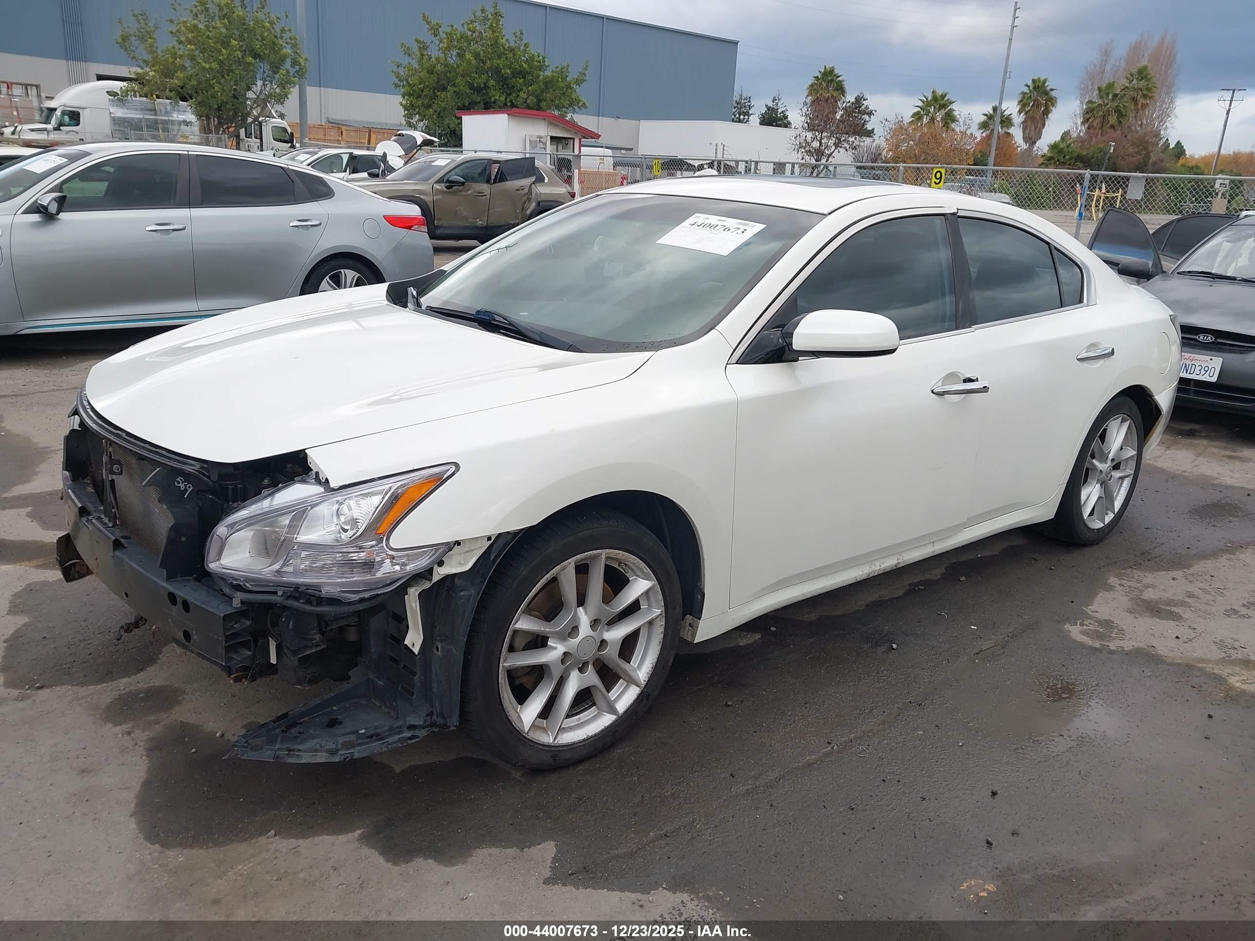 NISSAN MAXIMA image 2