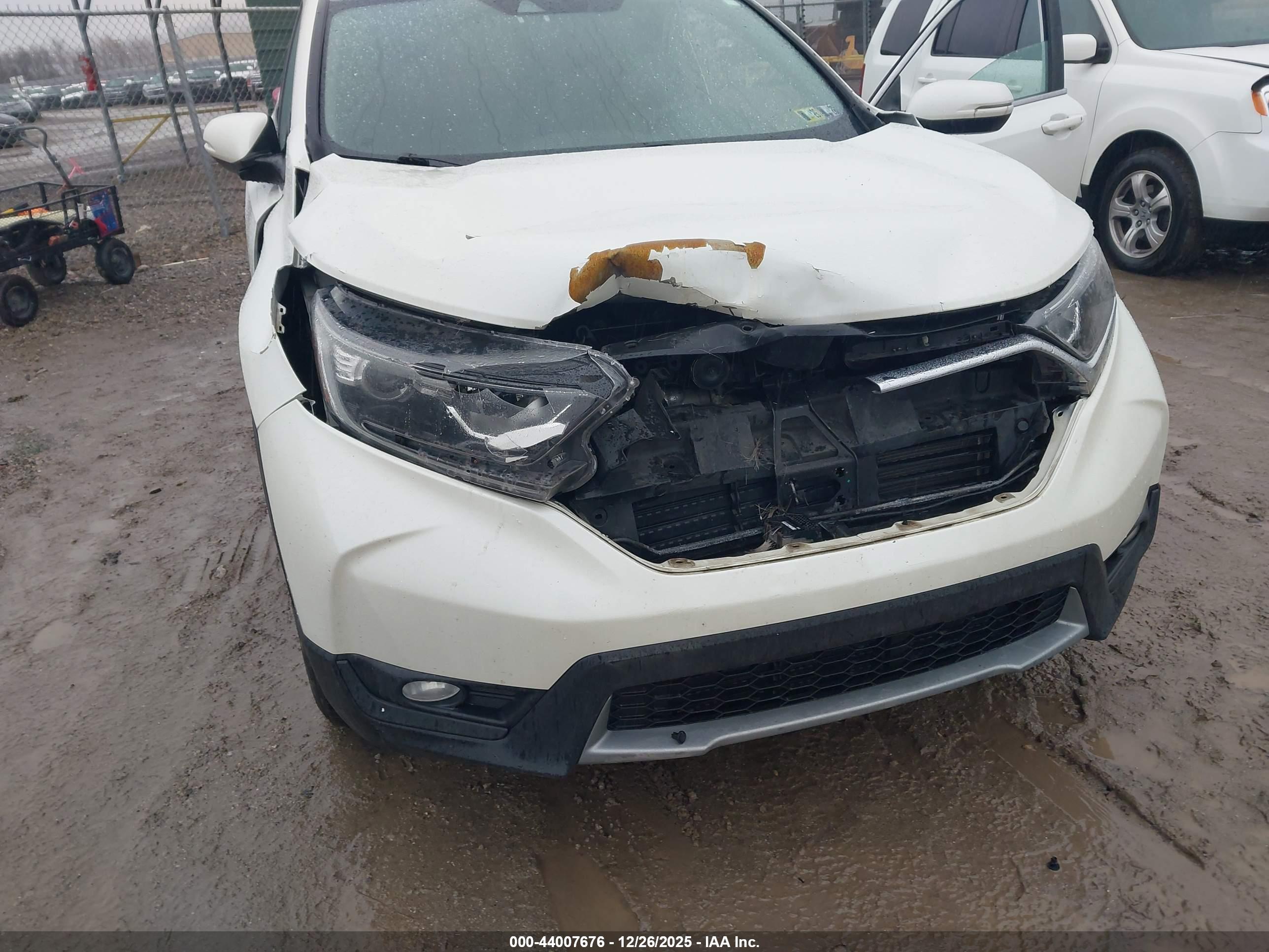 HONDA CR-V image 6