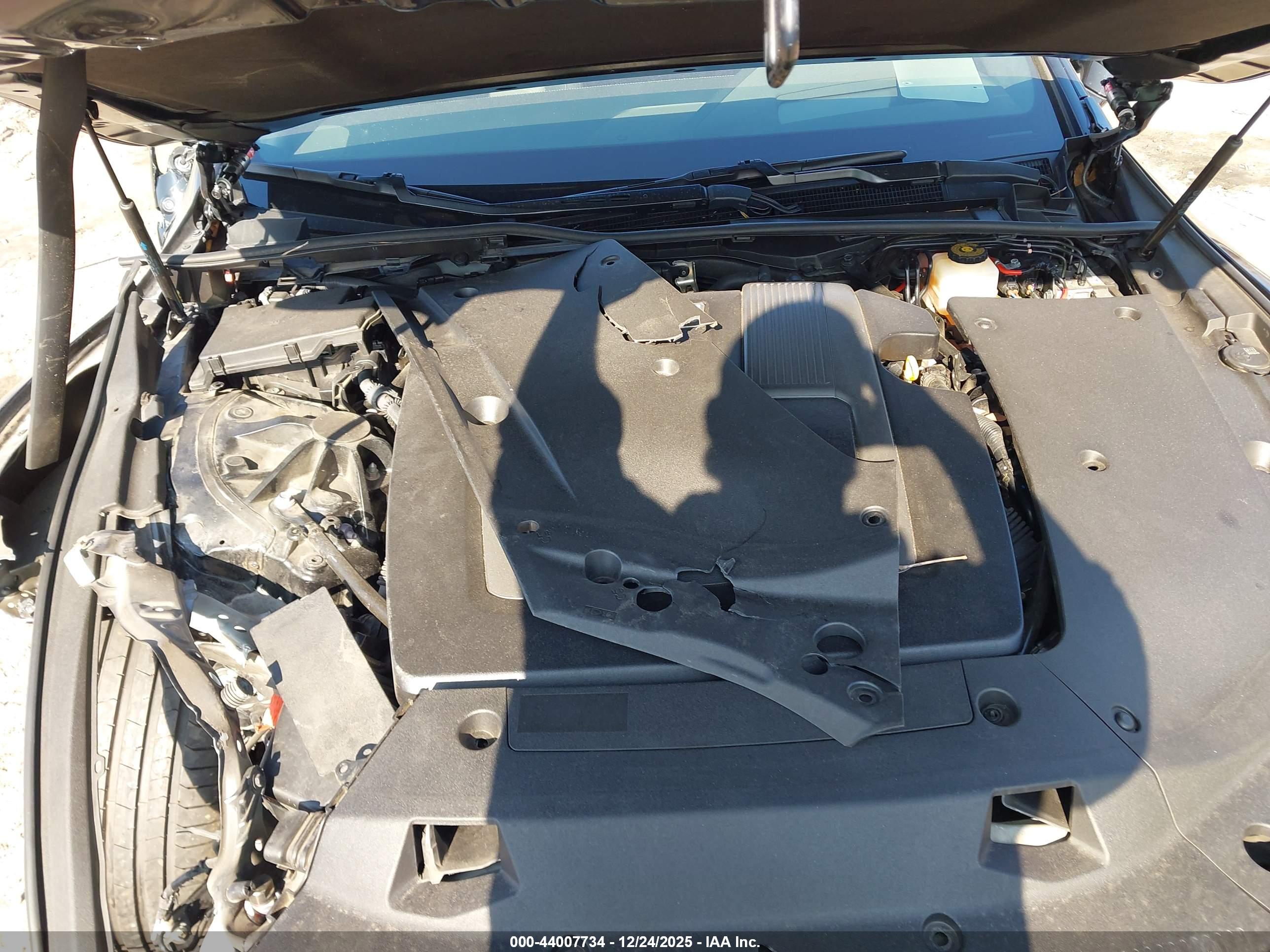 LEXUS LS image 10