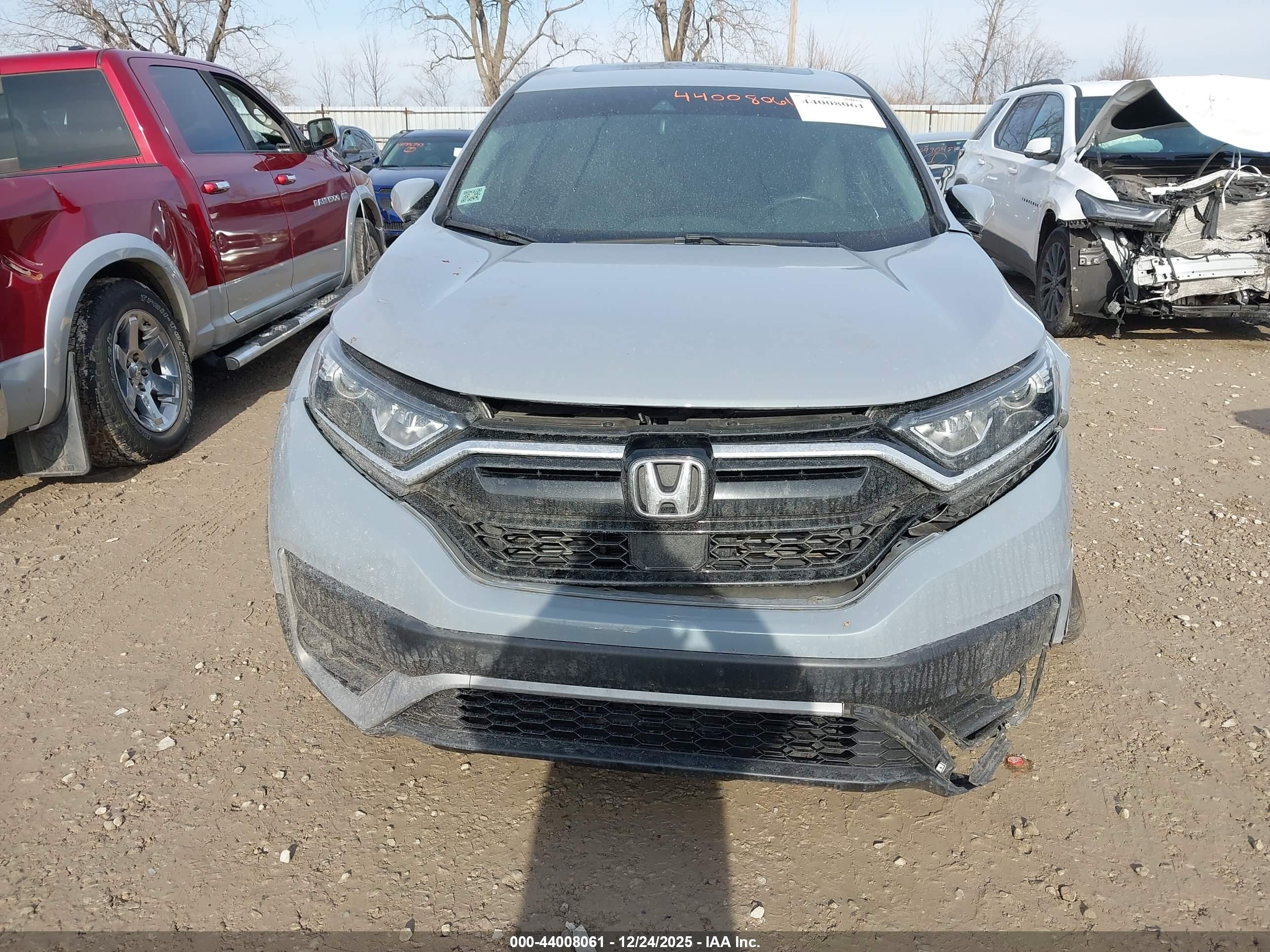HONDA CR-V image 6