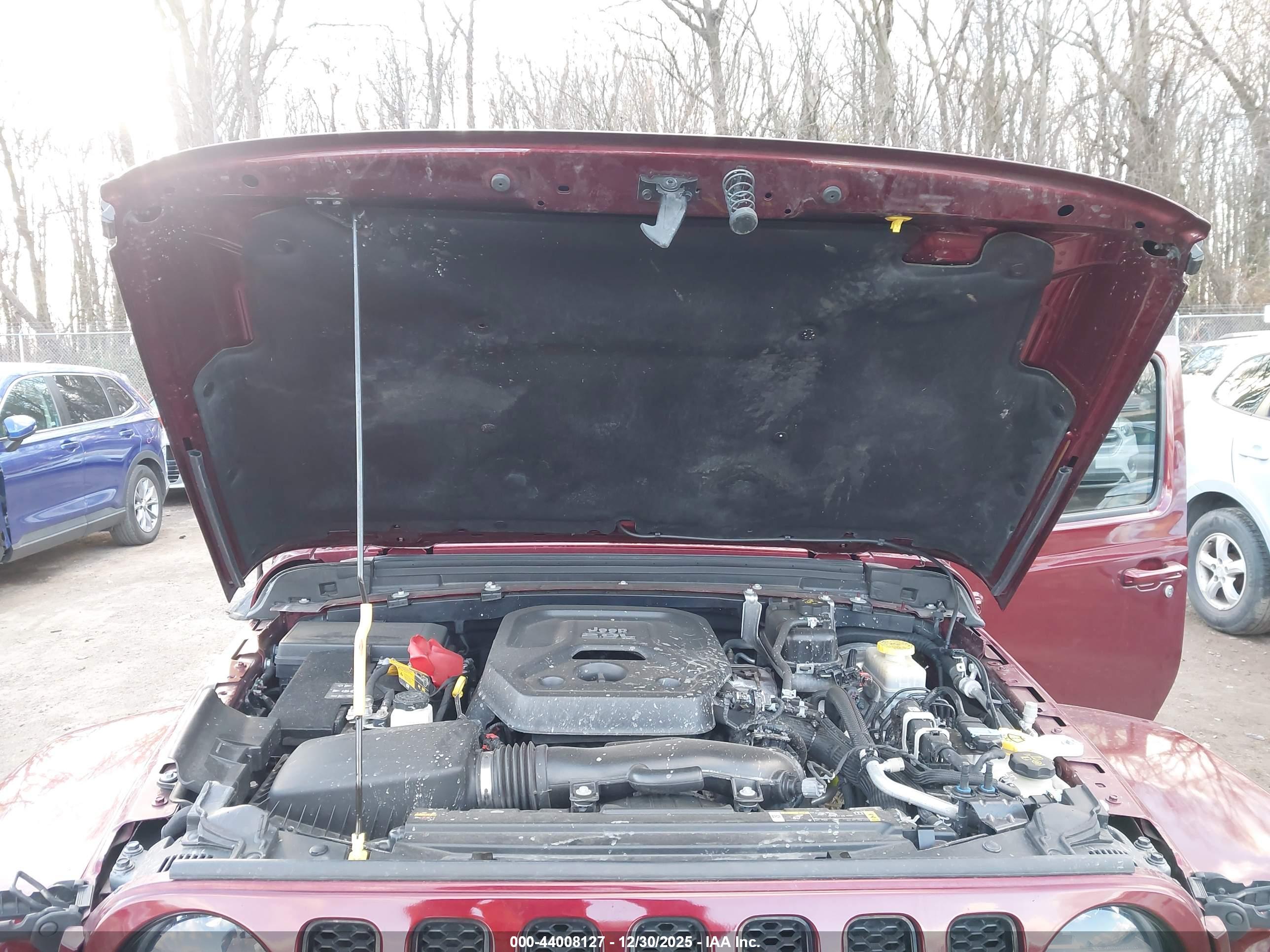 JEEP WRANGLER image 10