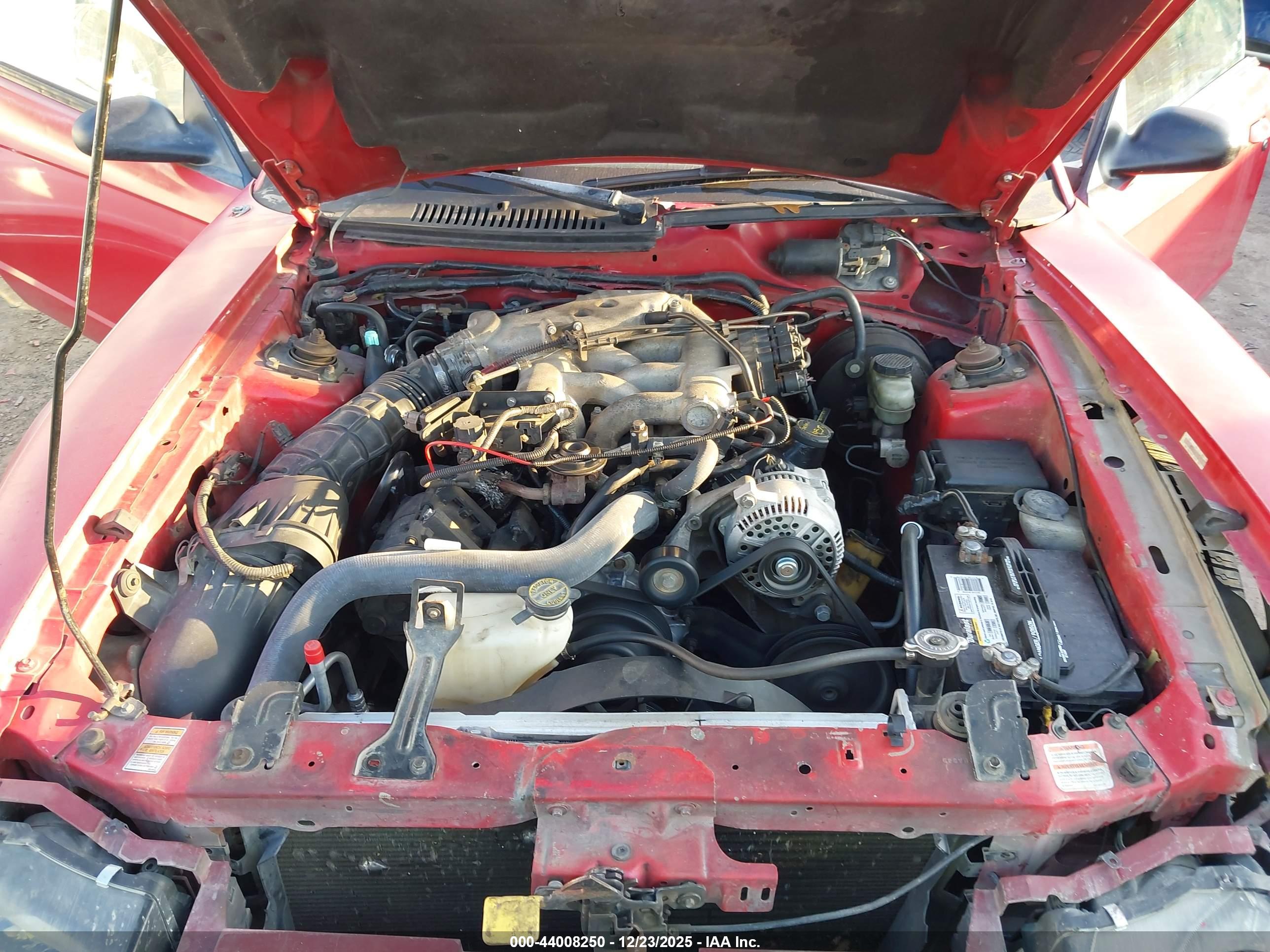 FORD MUSTANG image 10