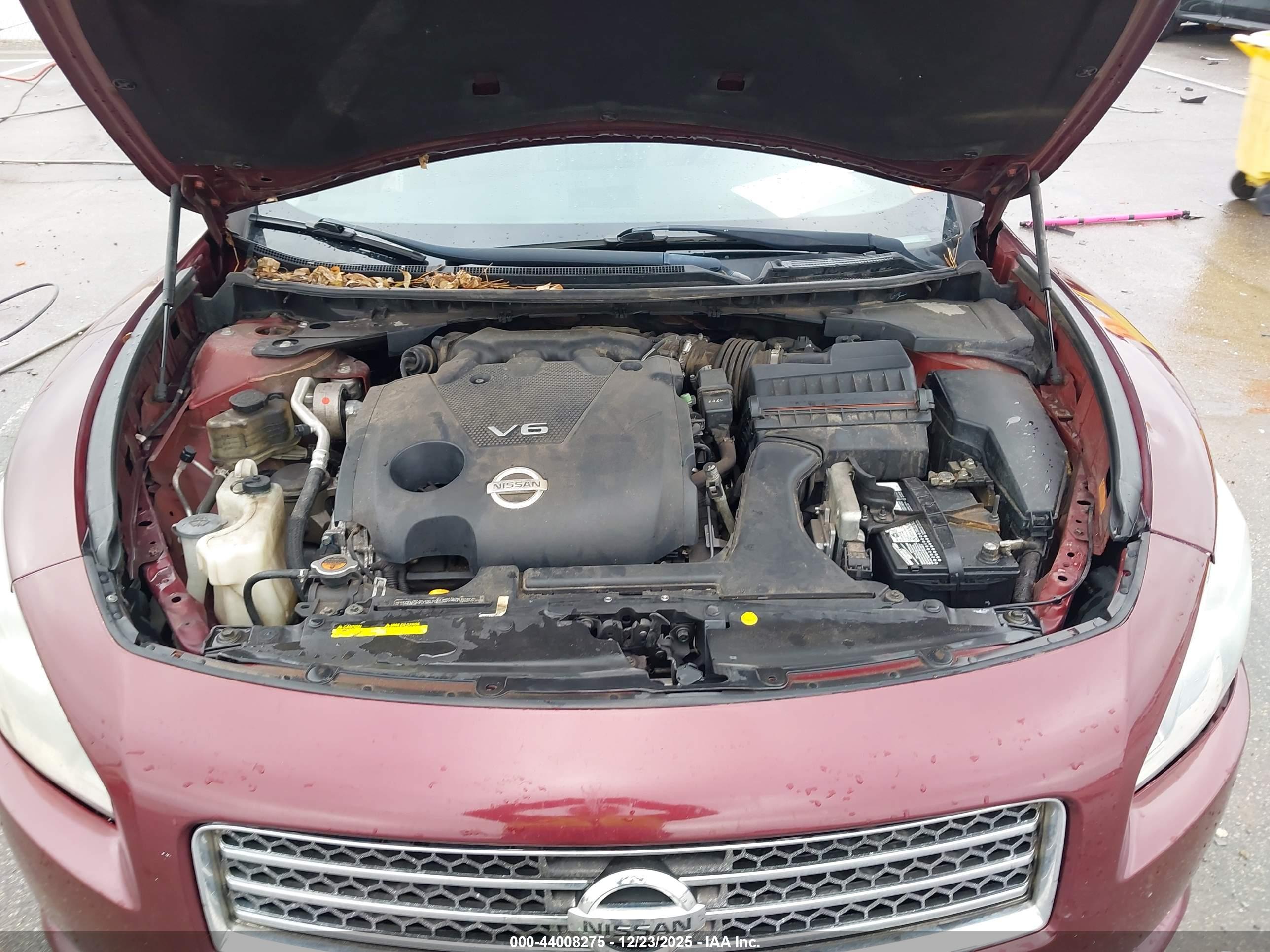NISSAN MAXIMA image 10