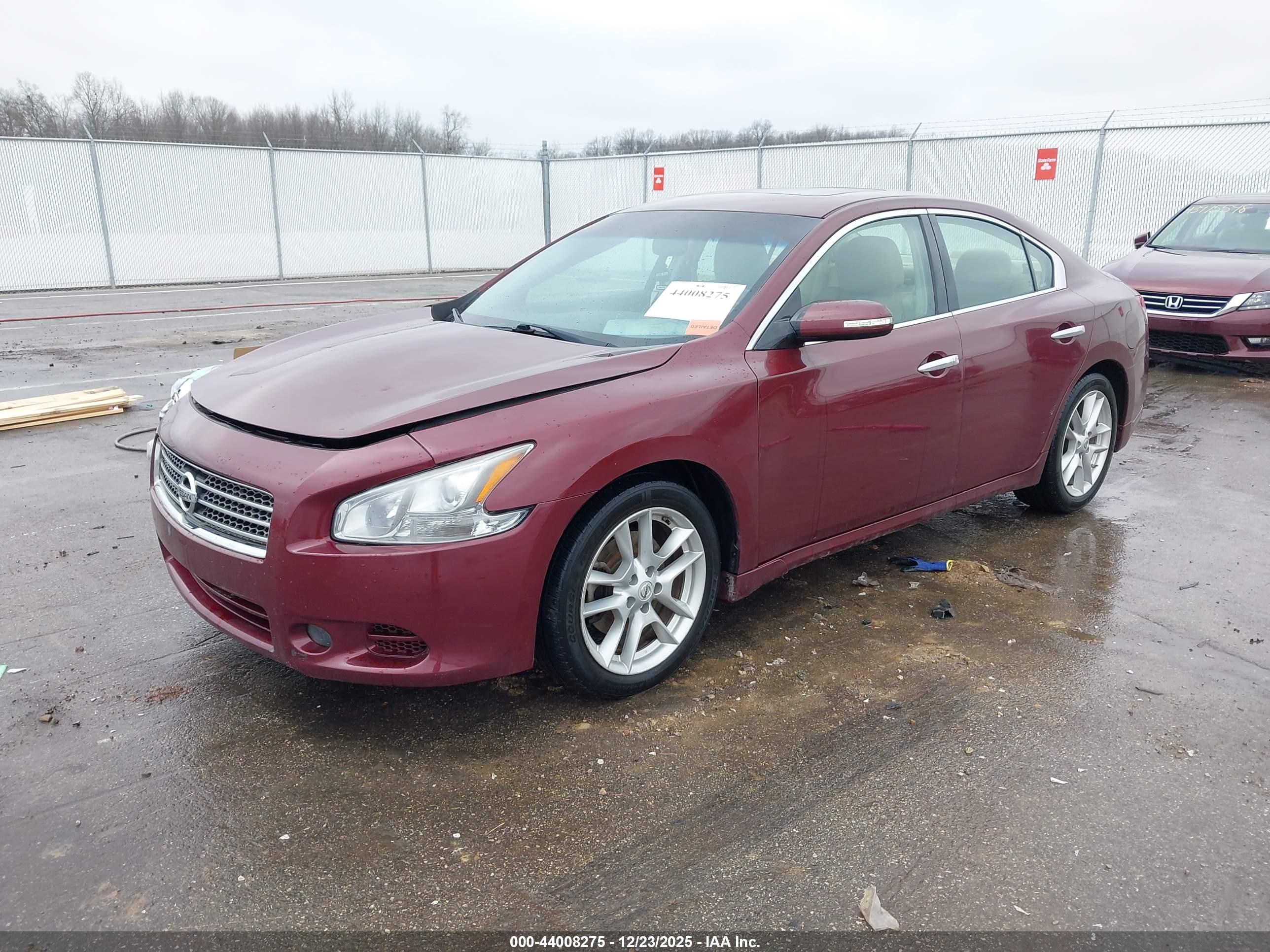 NISSAN MAXIMA image 2