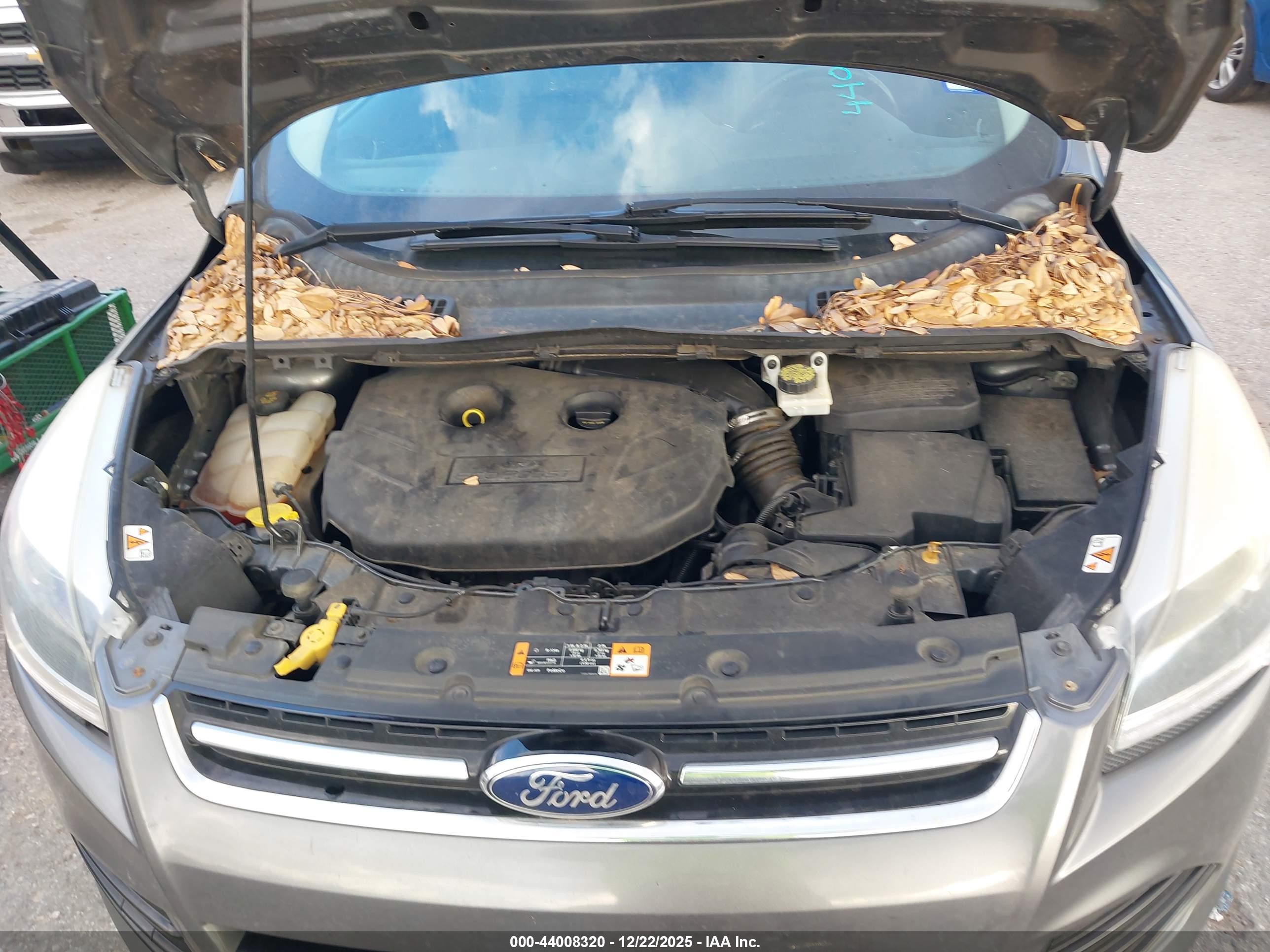 FORD ESCAPE image 10