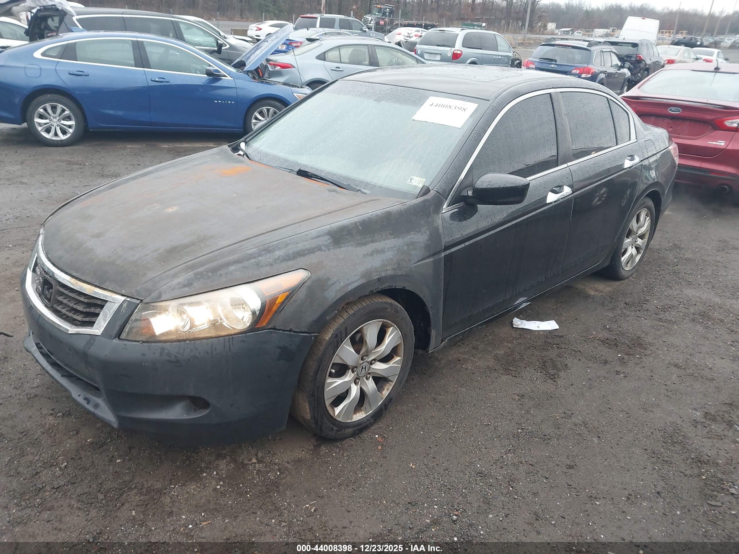HONDA ACCORD image 2