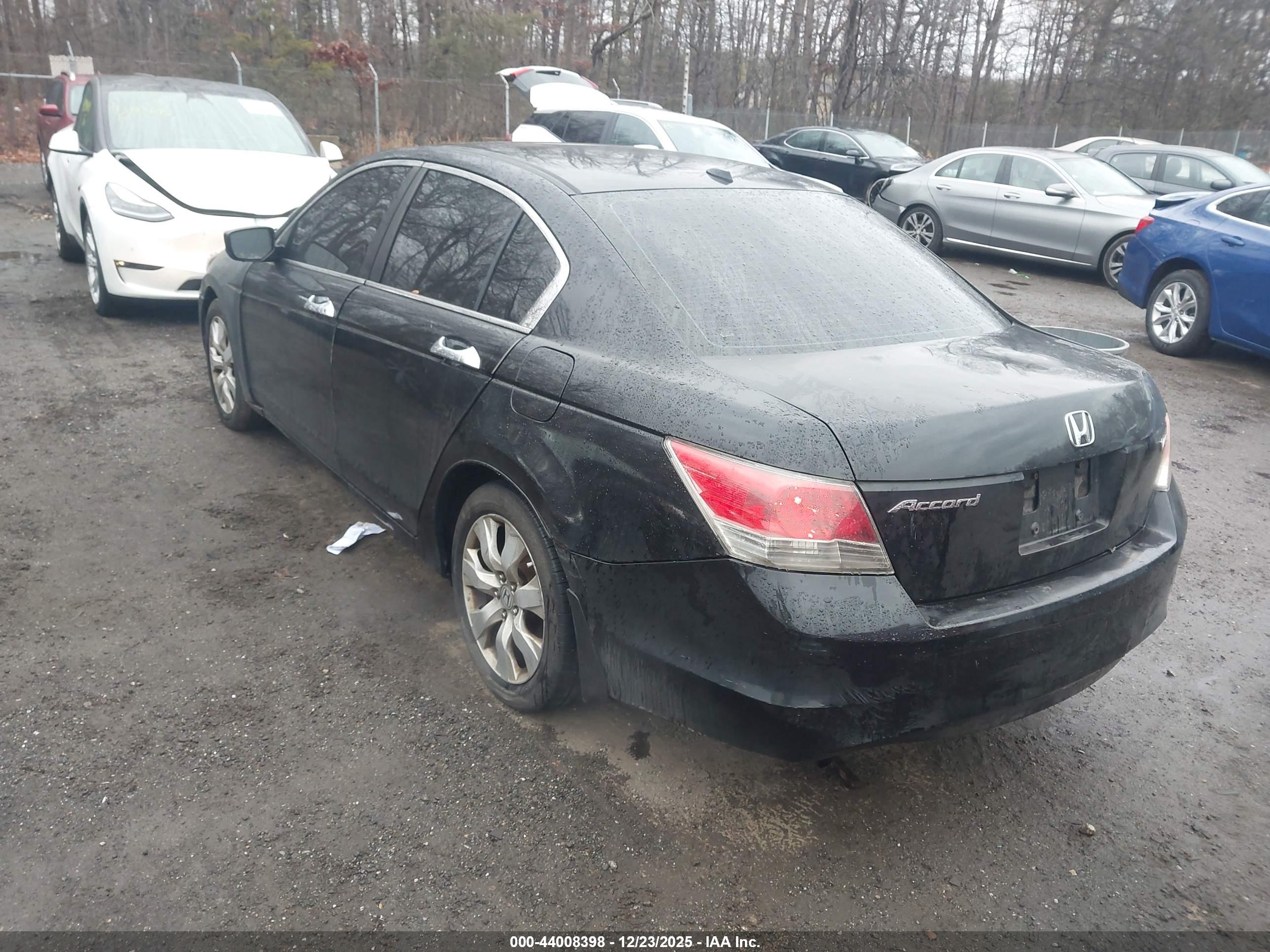 HONDA ACCORD image 3