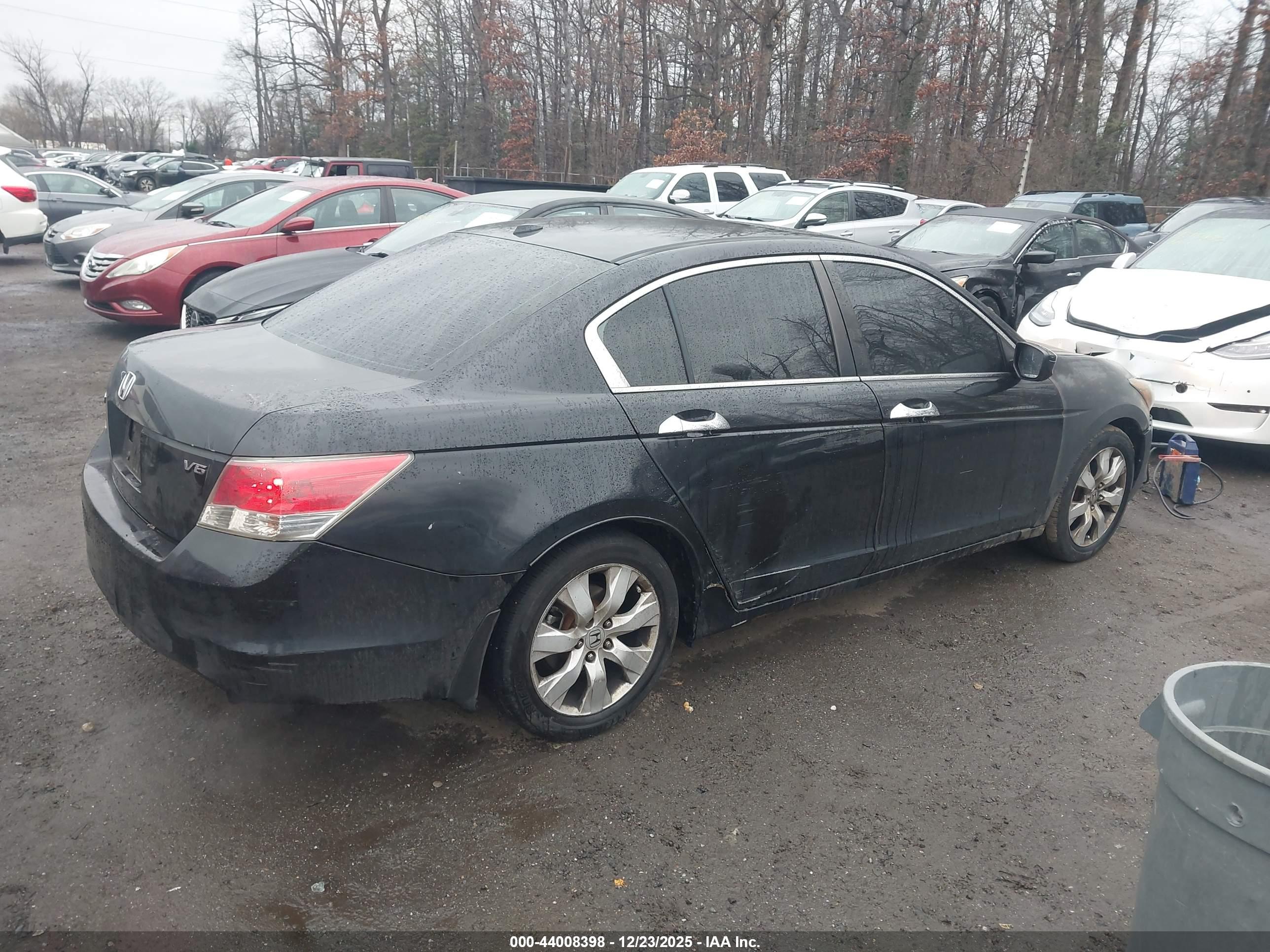HONDA ACCORD image 4