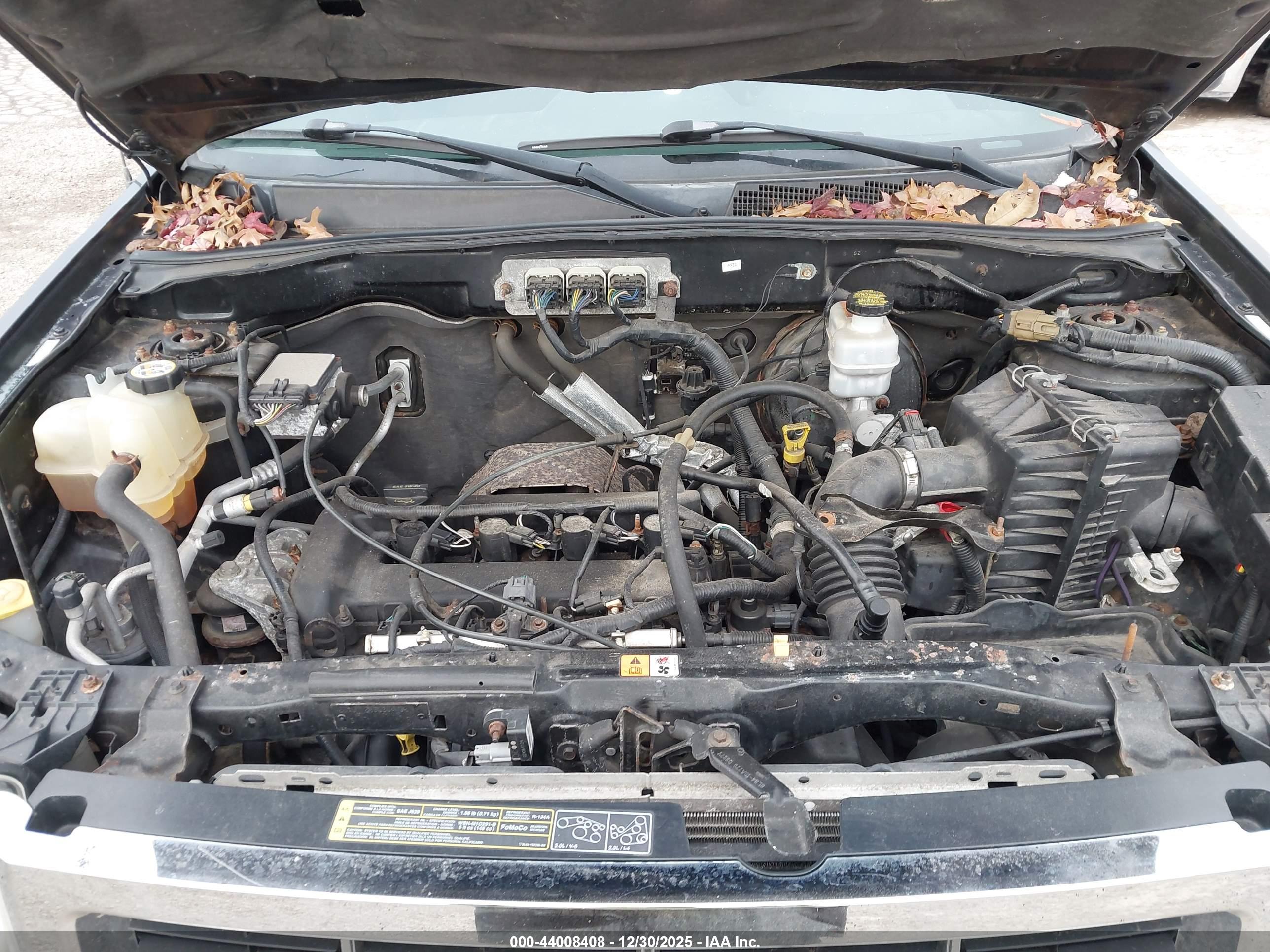 FORD ESCAPE image 10