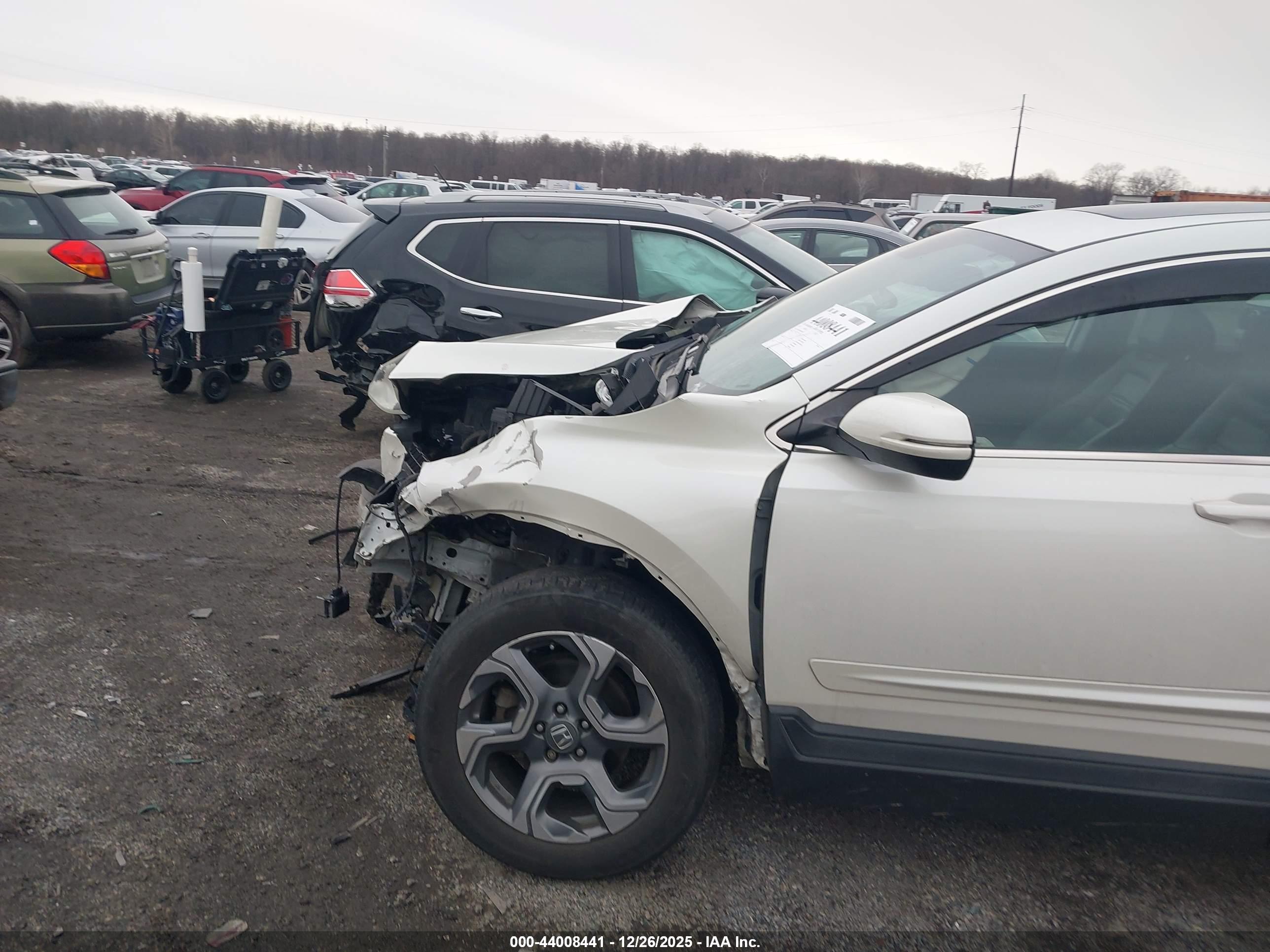HONDA CR-V image 6