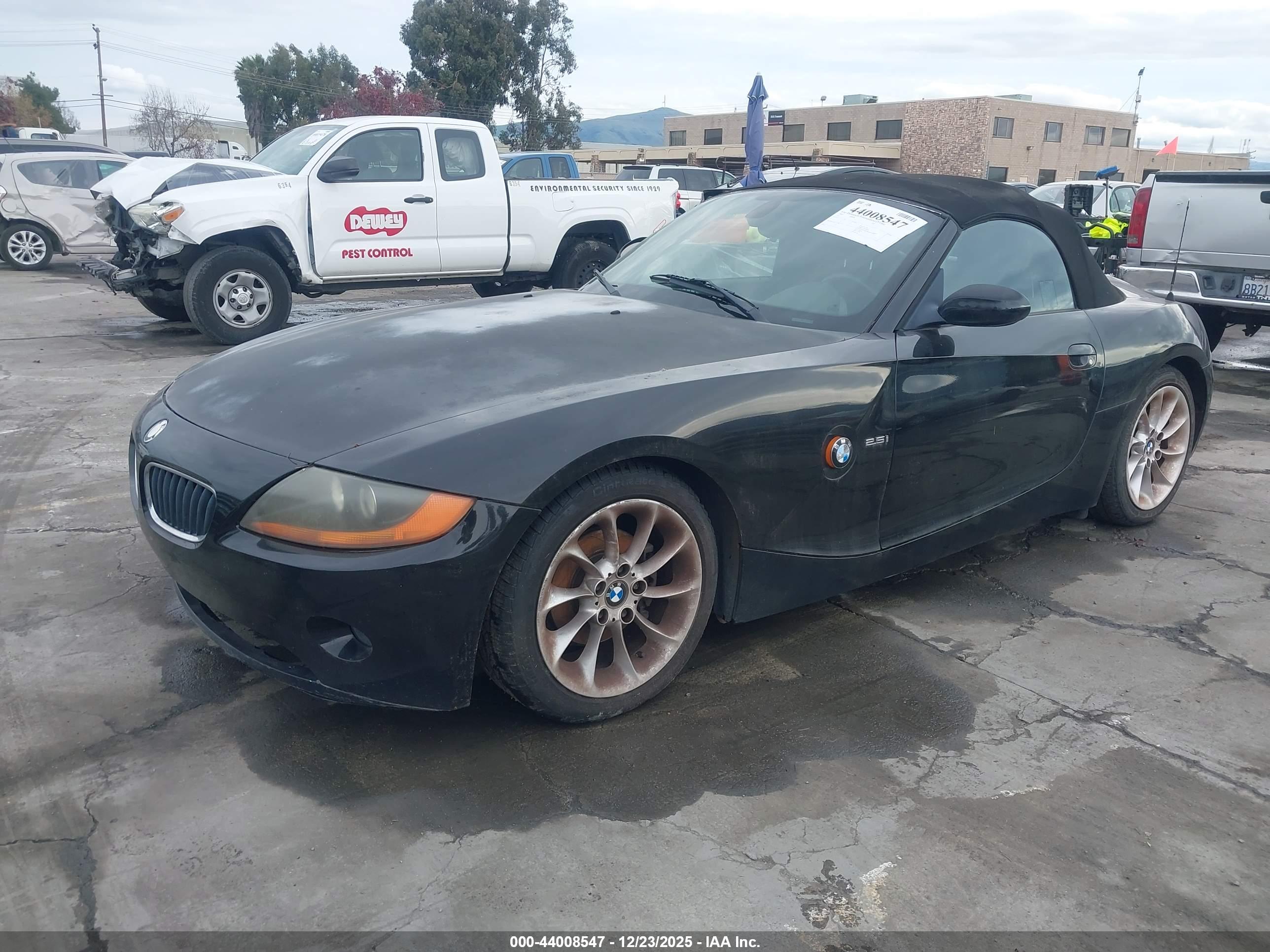 BMW Z4 image 2