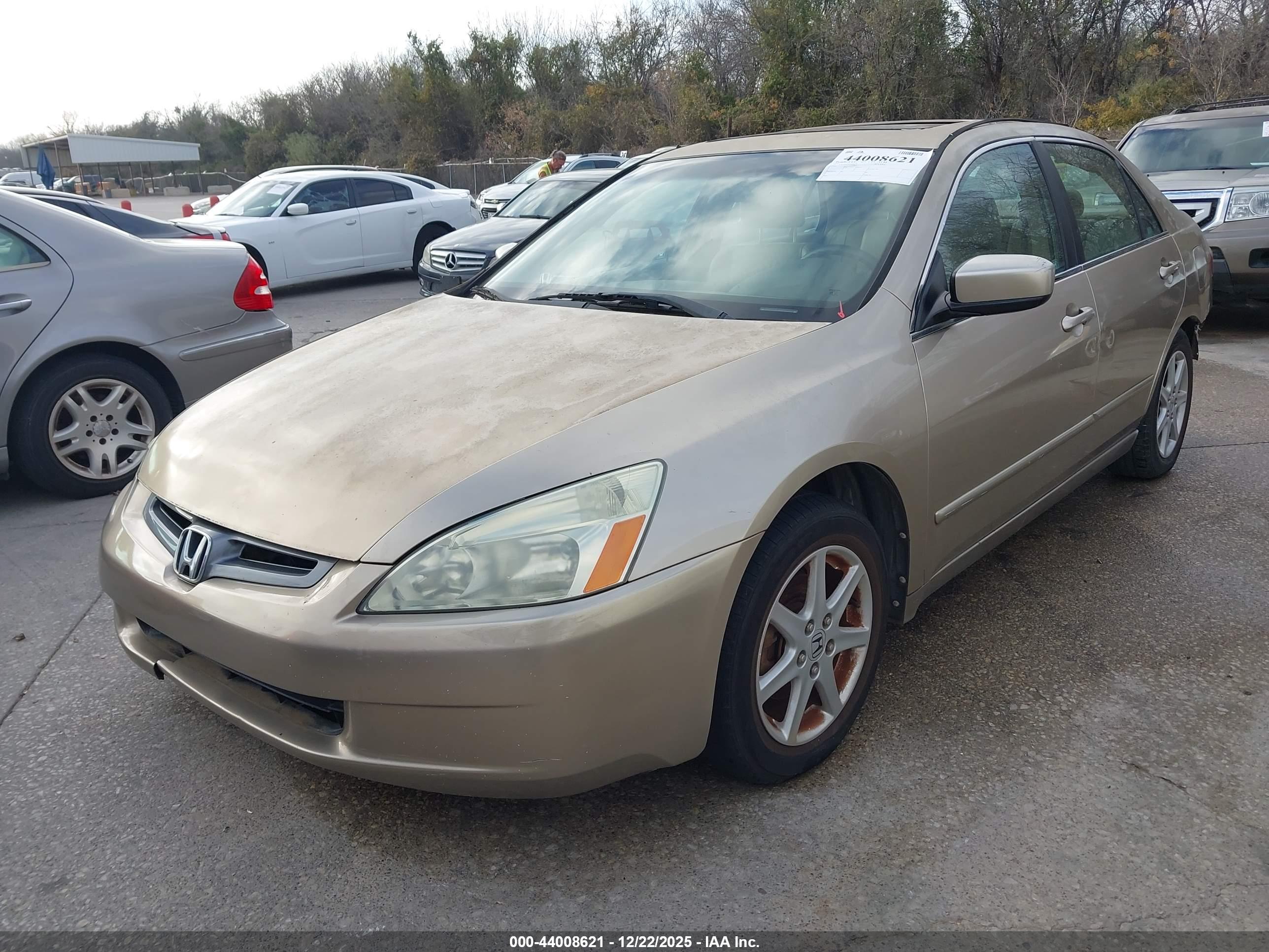 HONDA ACCORD image 2