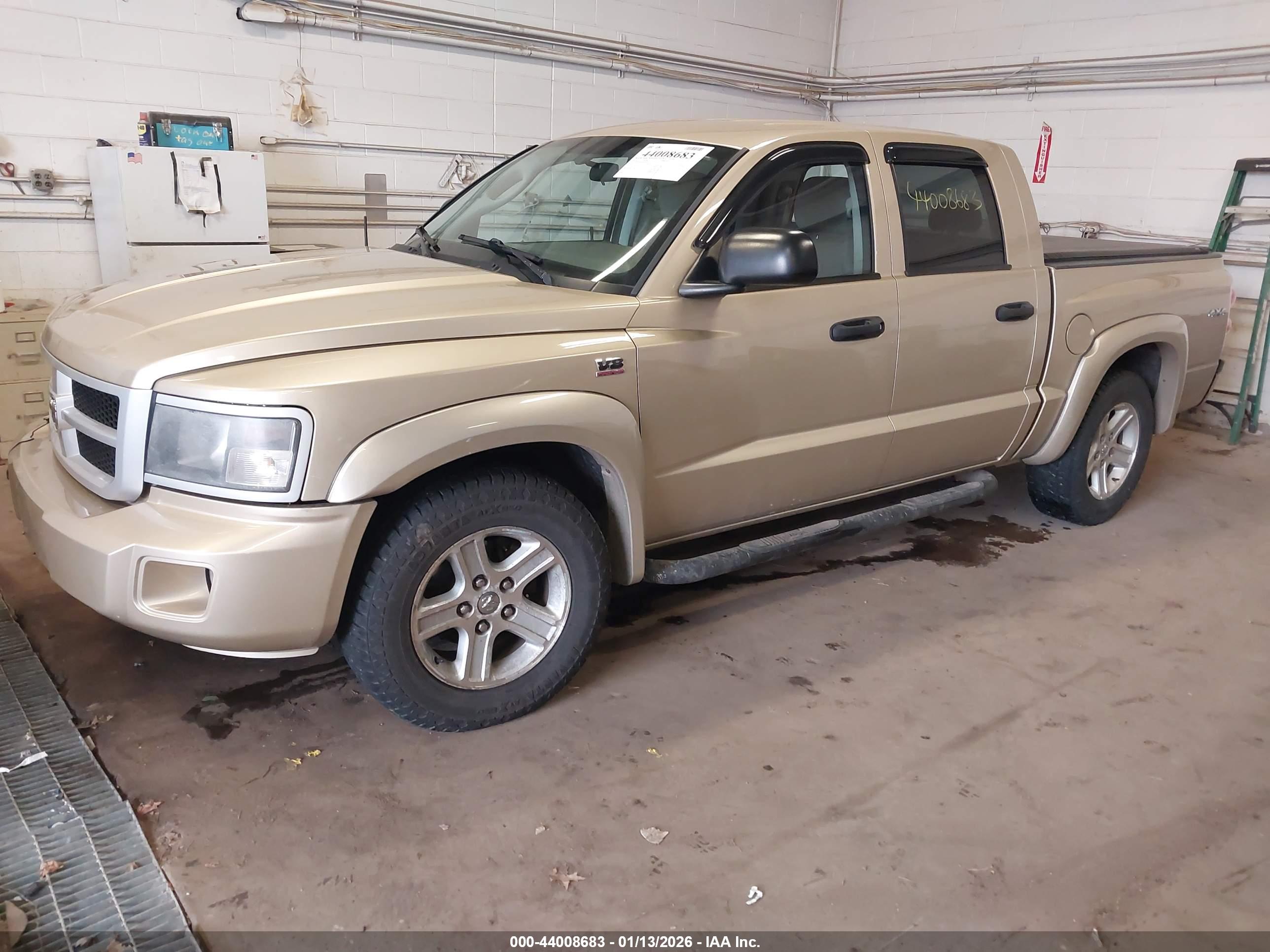 RAM DAKOTA image 2