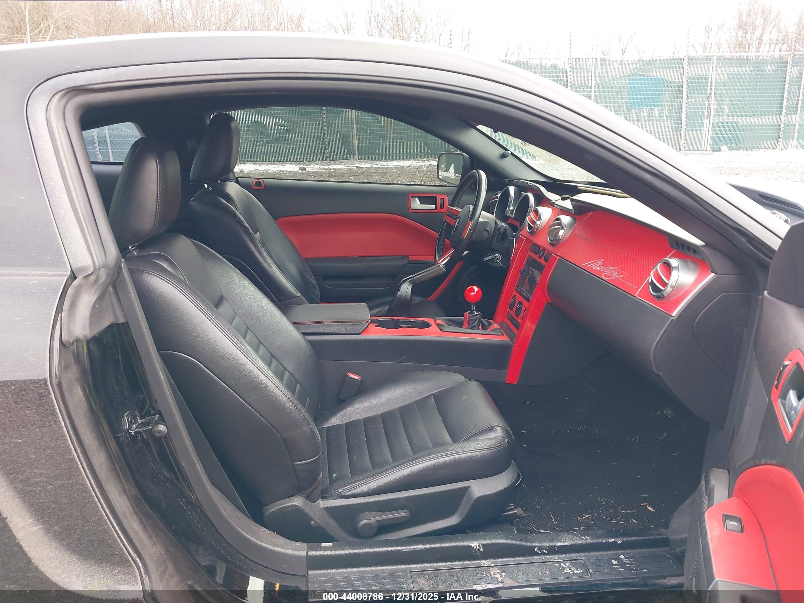 FORD MUSTANG image 5