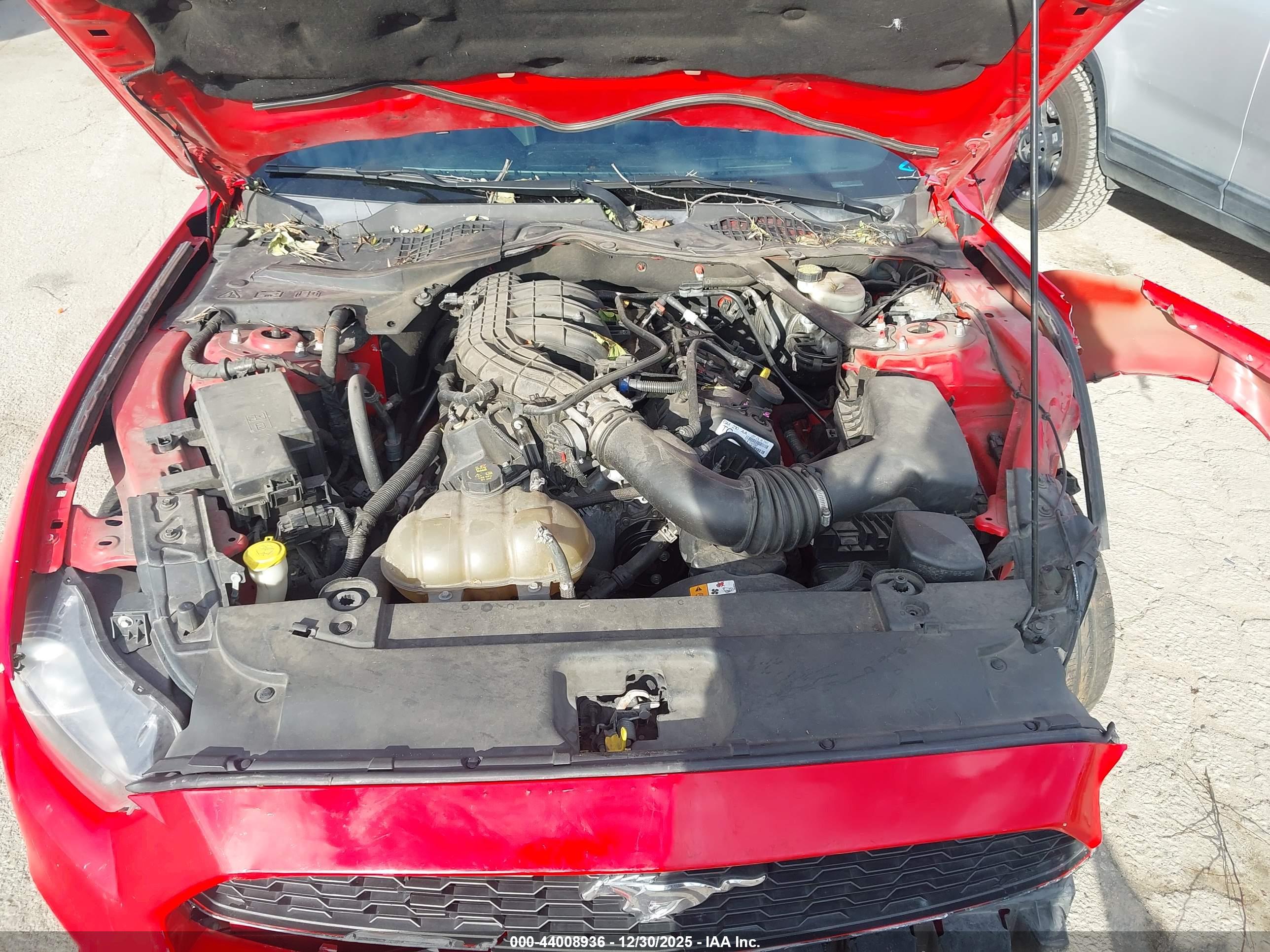 FORD MUSTANG image 10