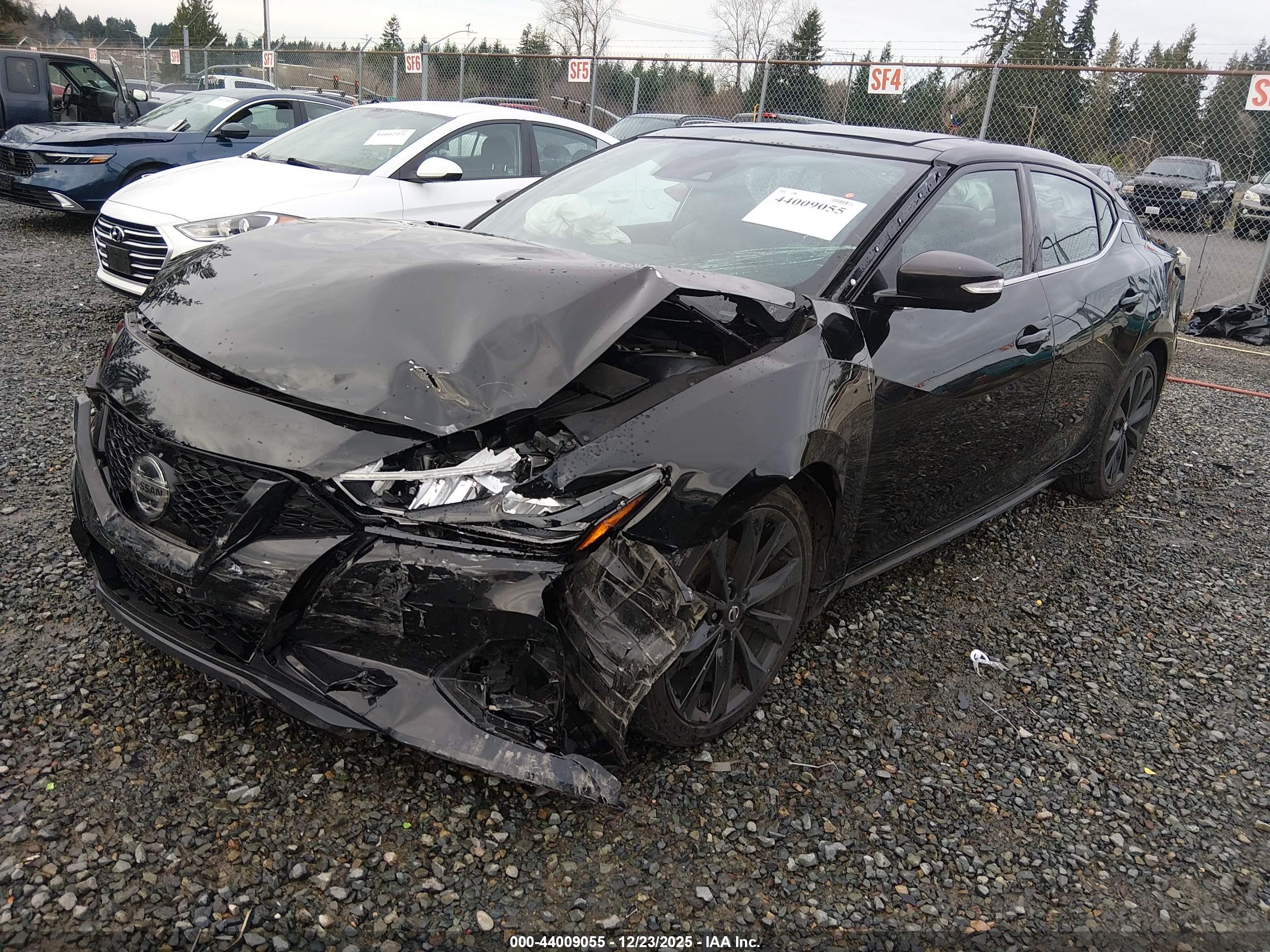 NISSAN MAXIMA image 2