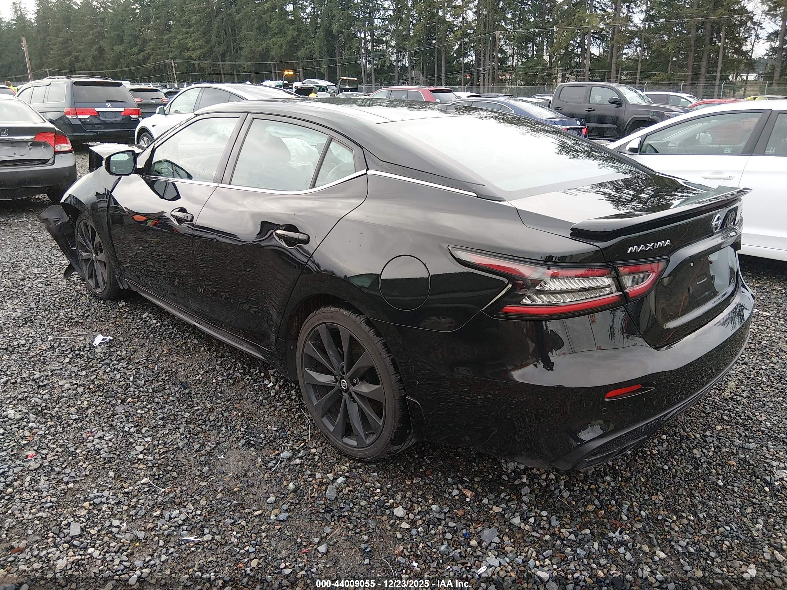 NISSAN MAXIMA image 3