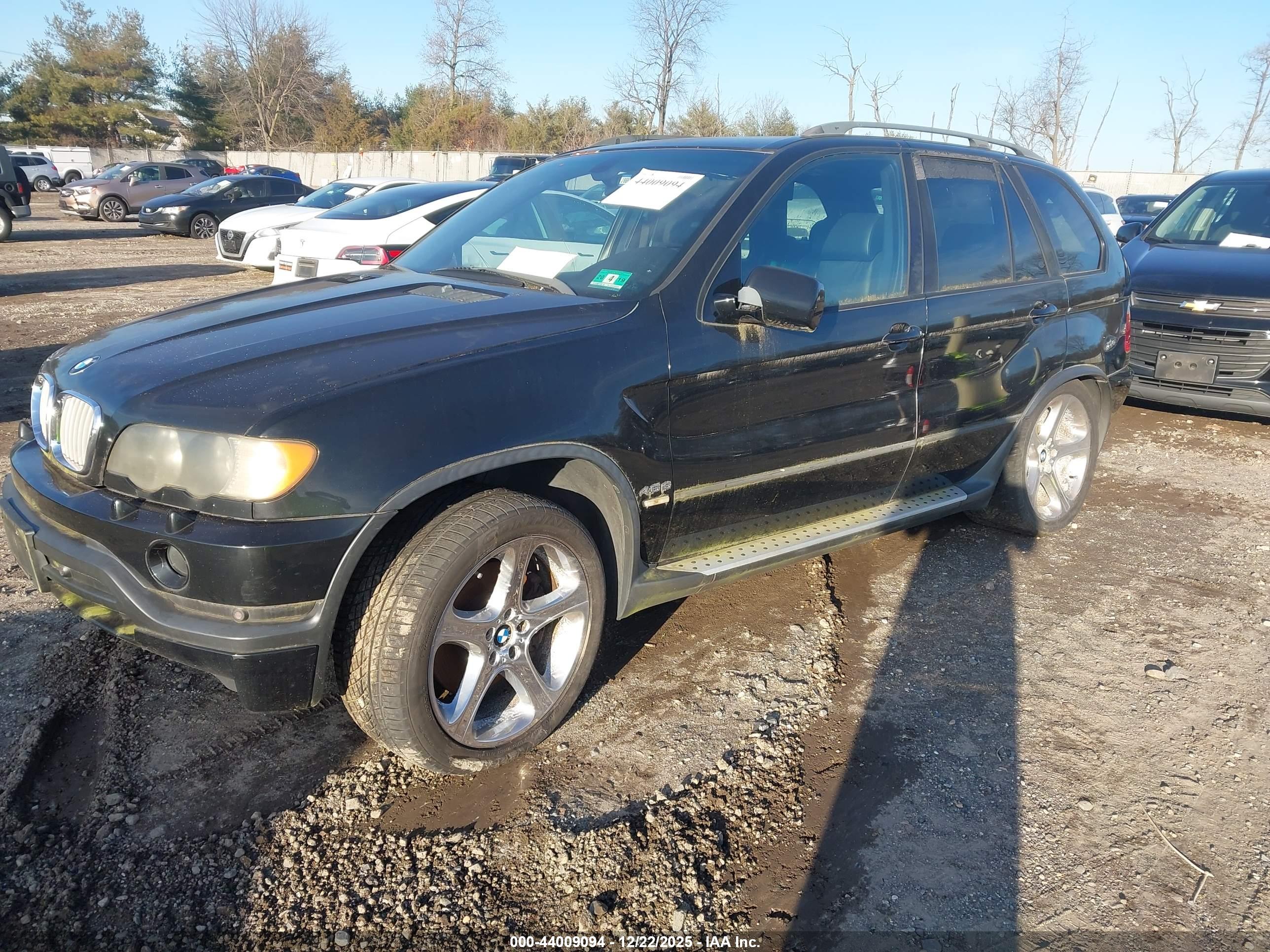 BMW X5 image 2