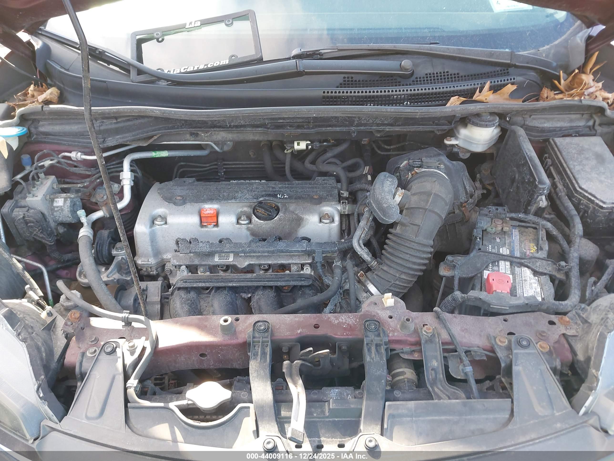 HONDA CR-V image 10