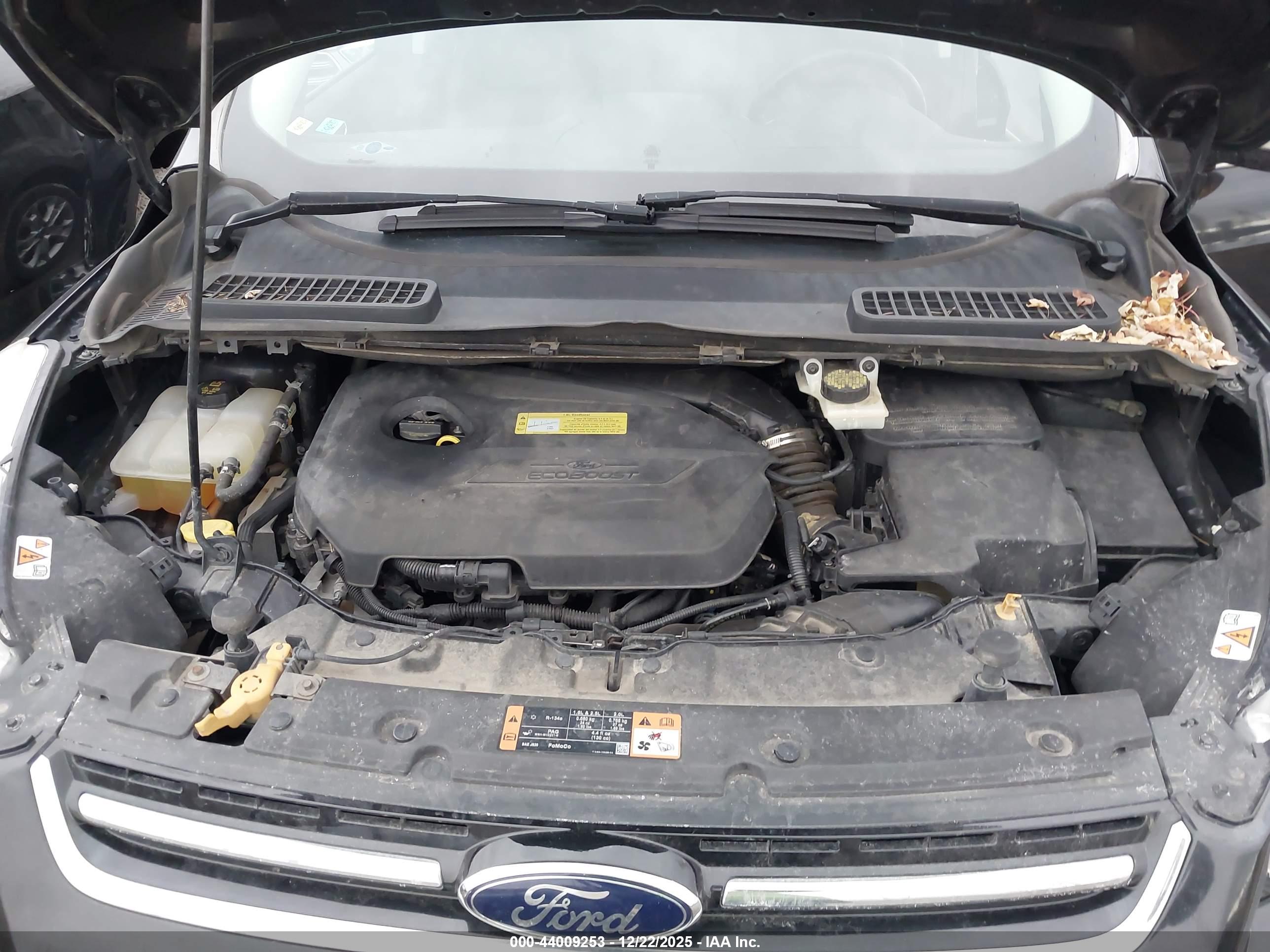 FORD ESCAPE image 10