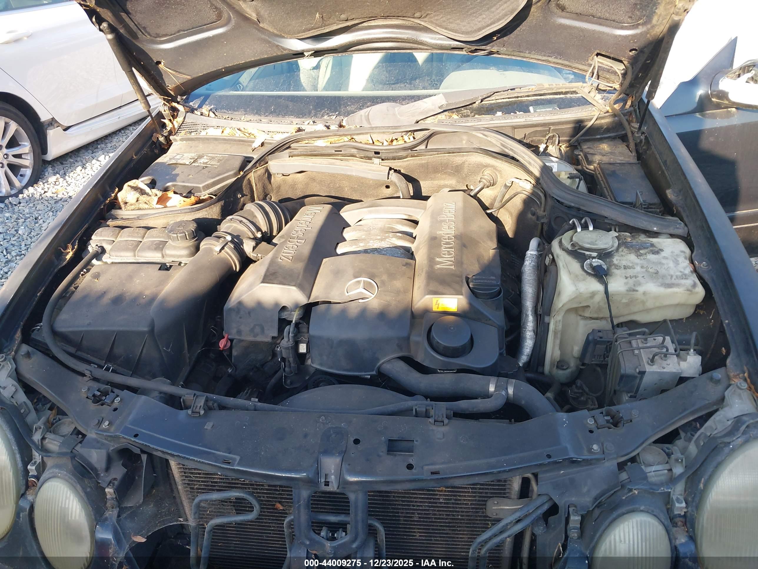 MERCEDES-BENZ CLK image 10