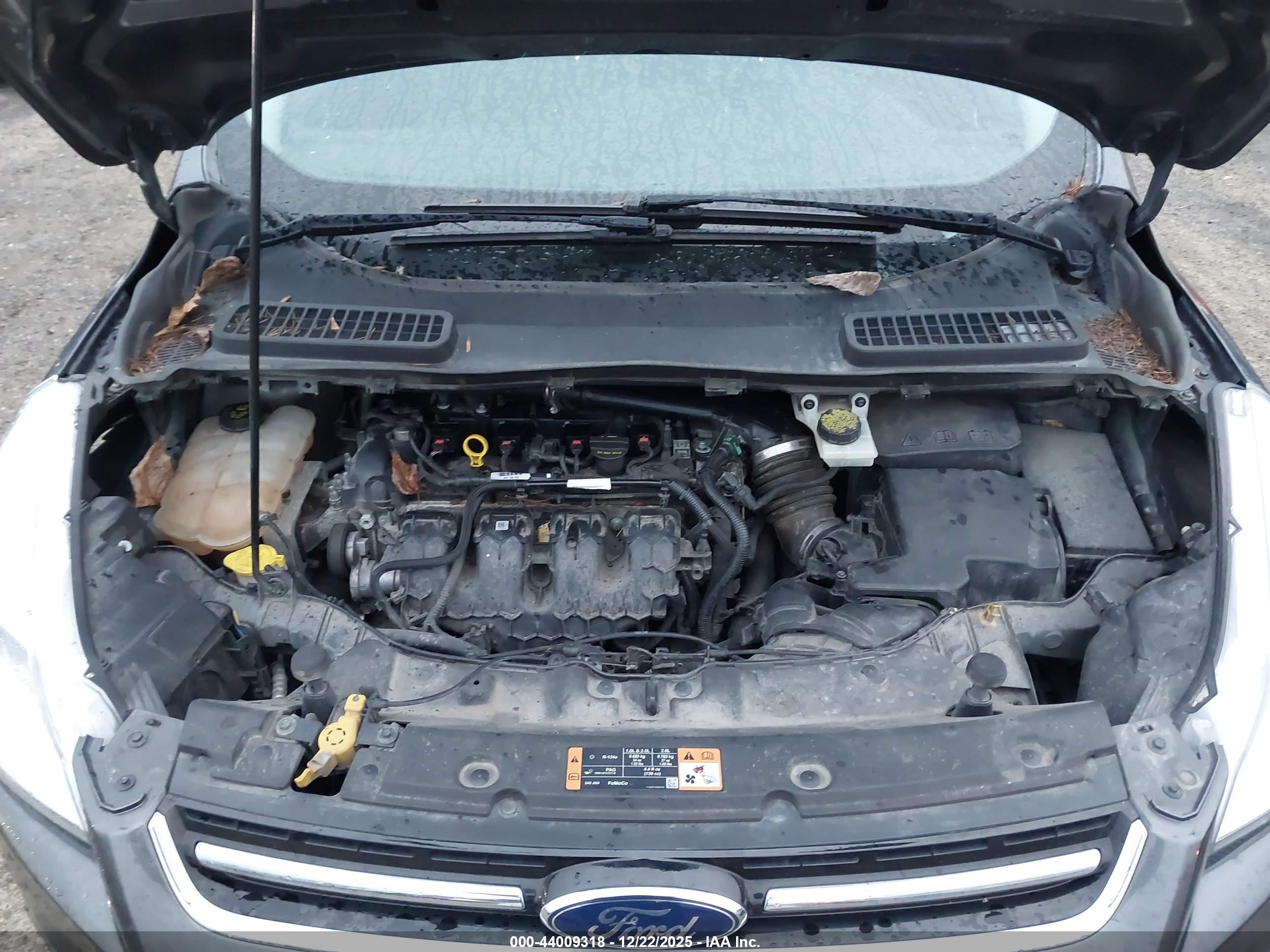 FORD ESCAPE image 10
