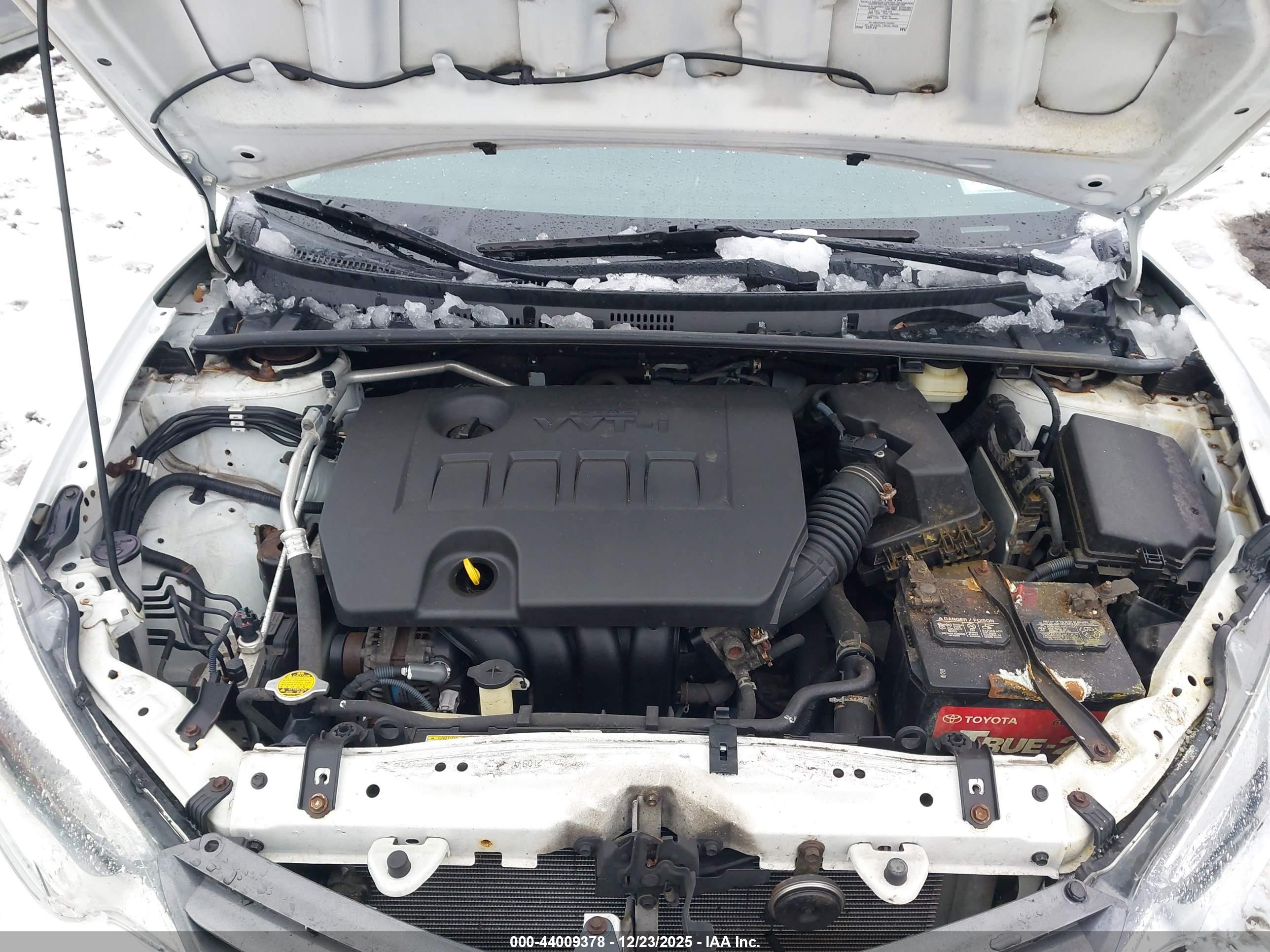 TOYOTA COROLLA image 10