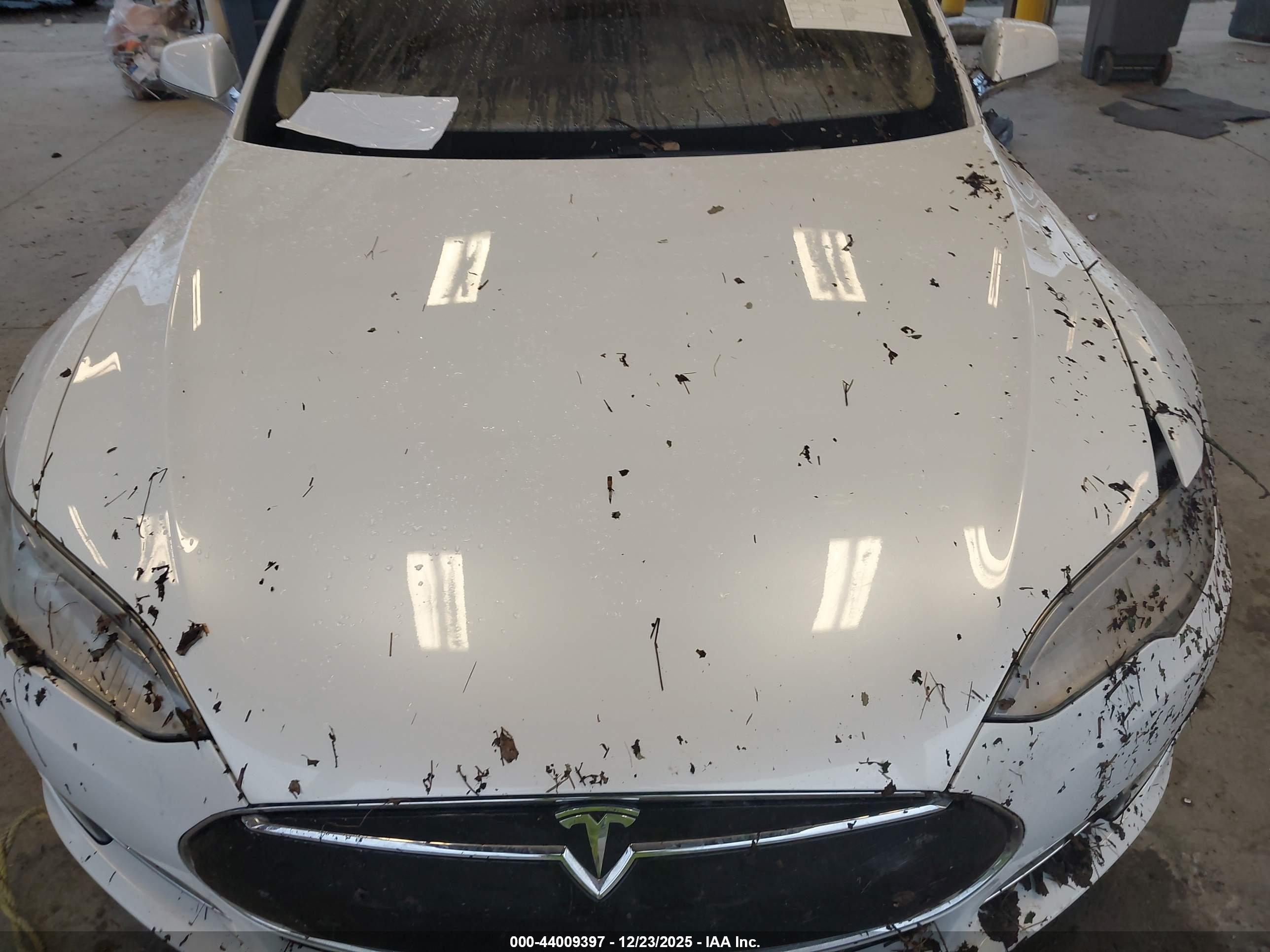 TESLA MODEL image 10