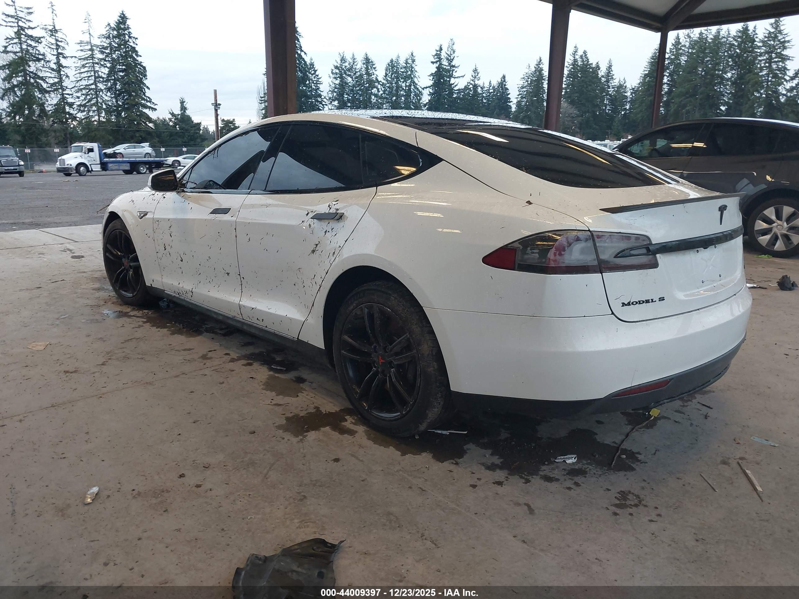 TESLA MODEL image 3