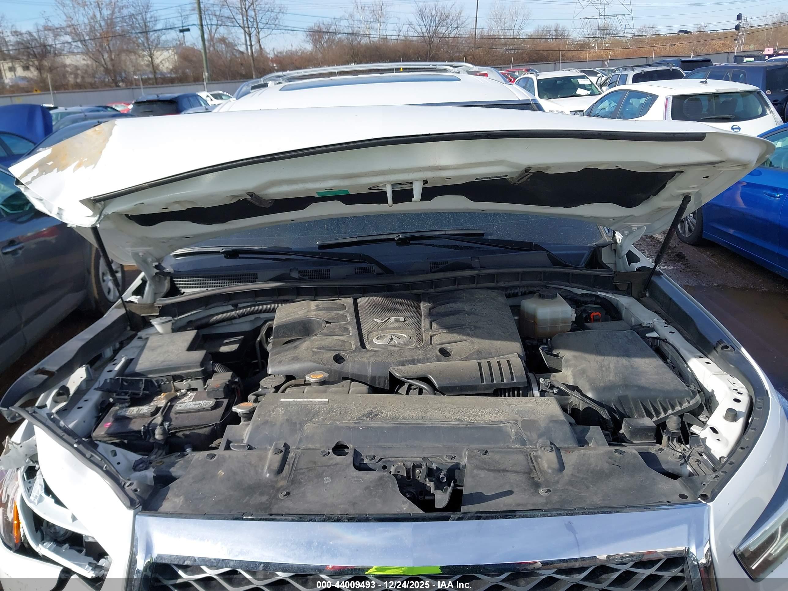 INFINITI QX80 image 10