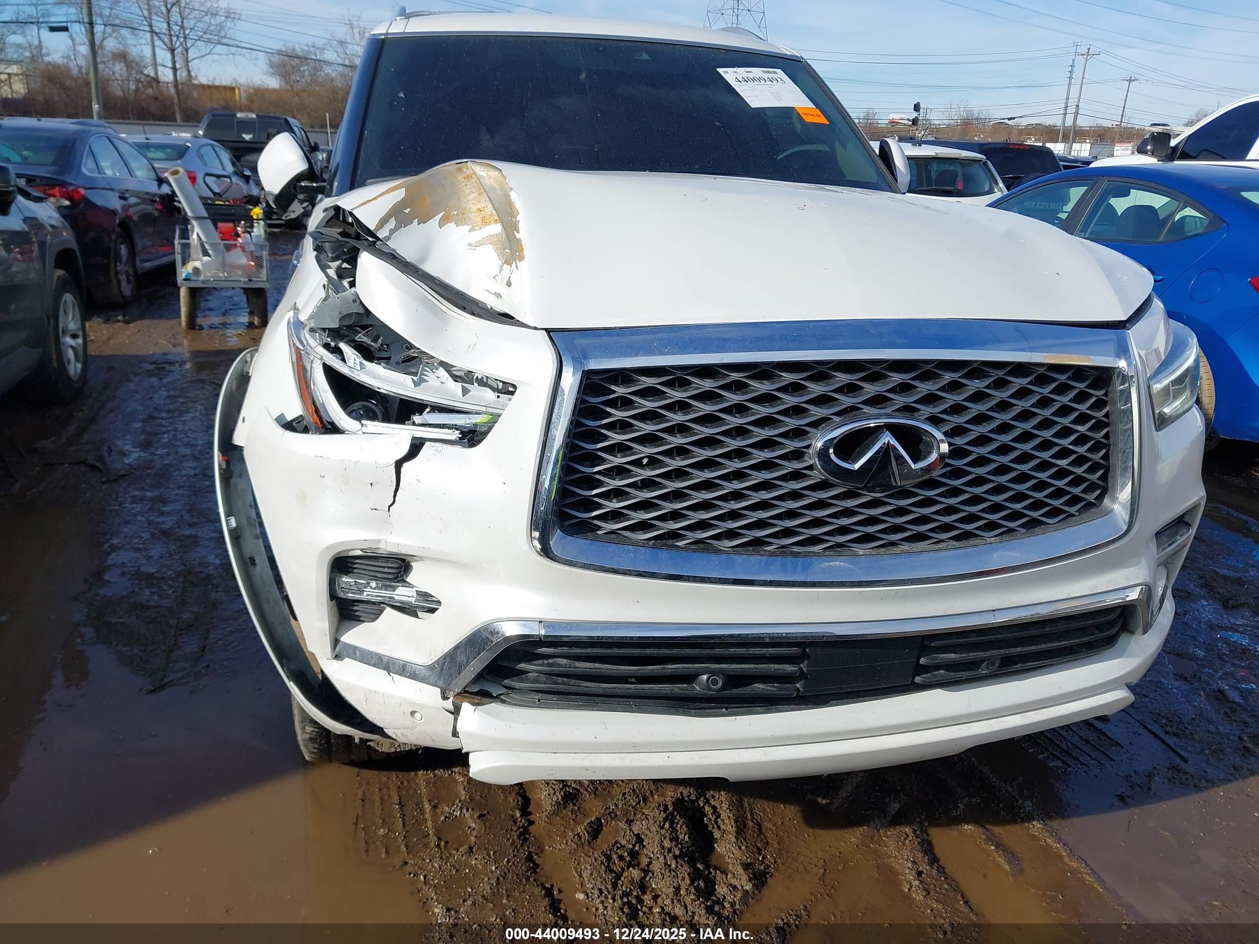 INFINITI QX80 image 6