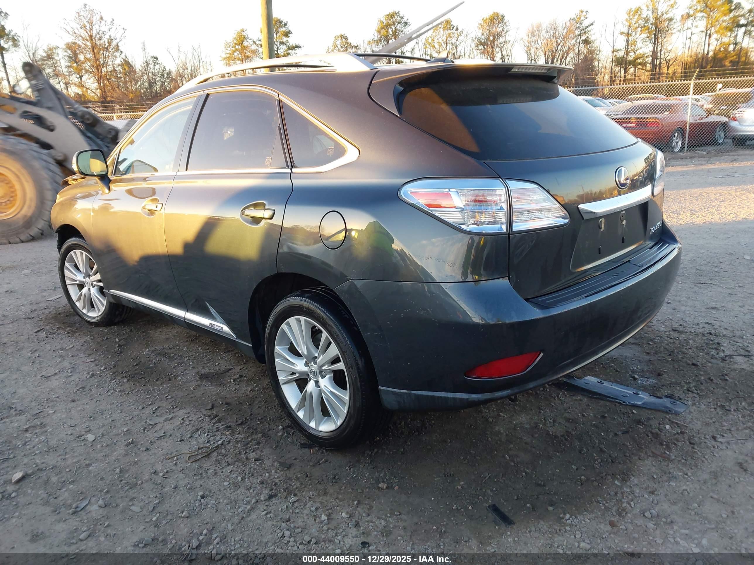 LEXUS RX image 3