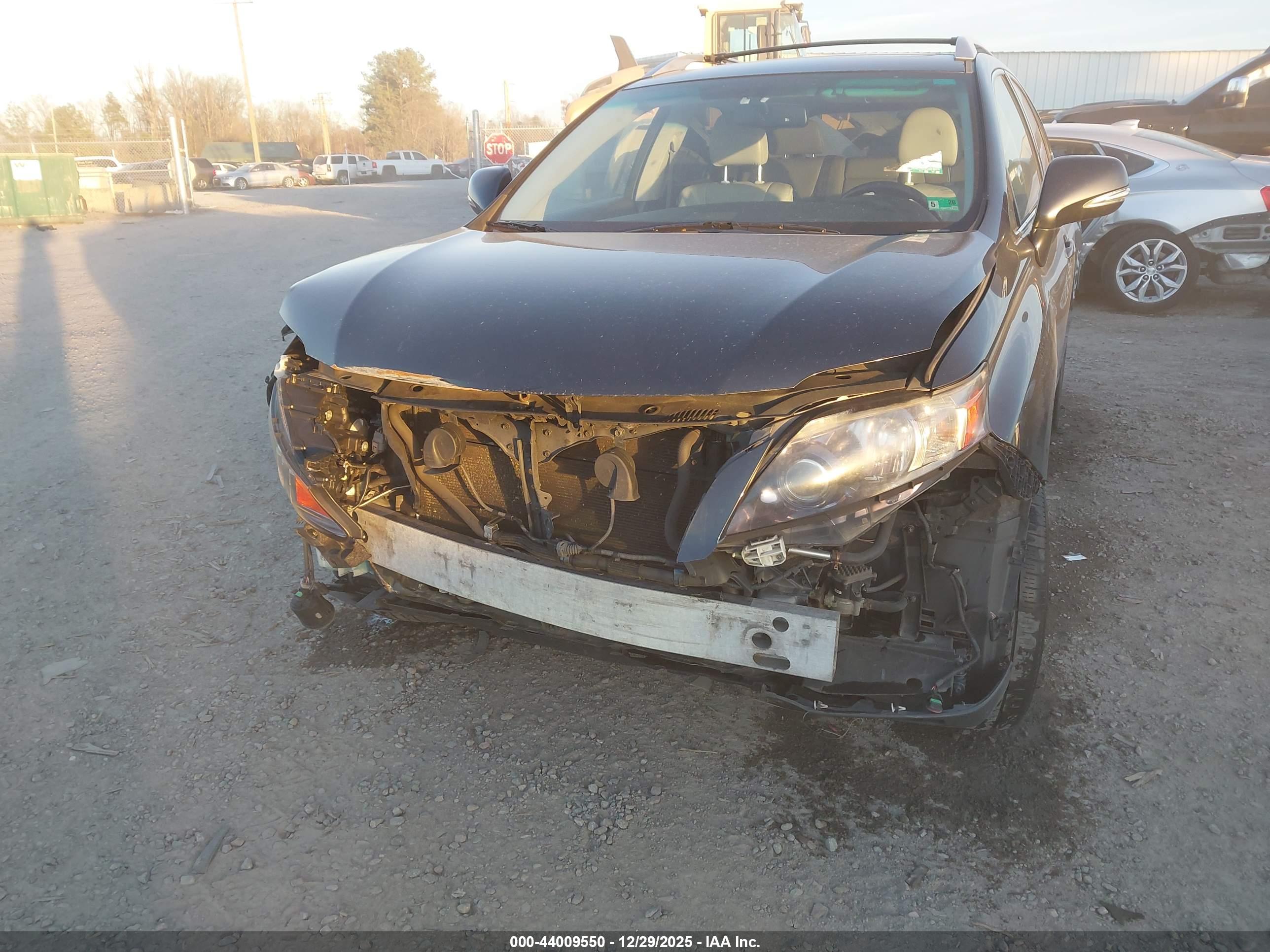 LEXUS RX image 6
