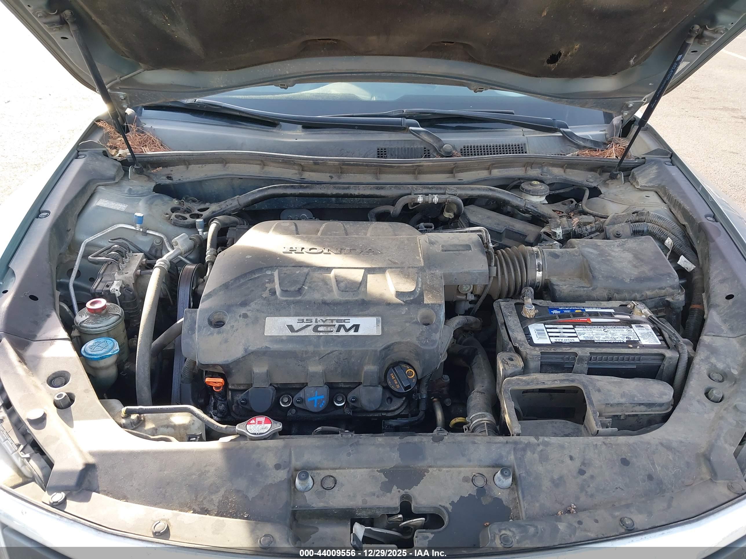 HONDA ACCORD image 10