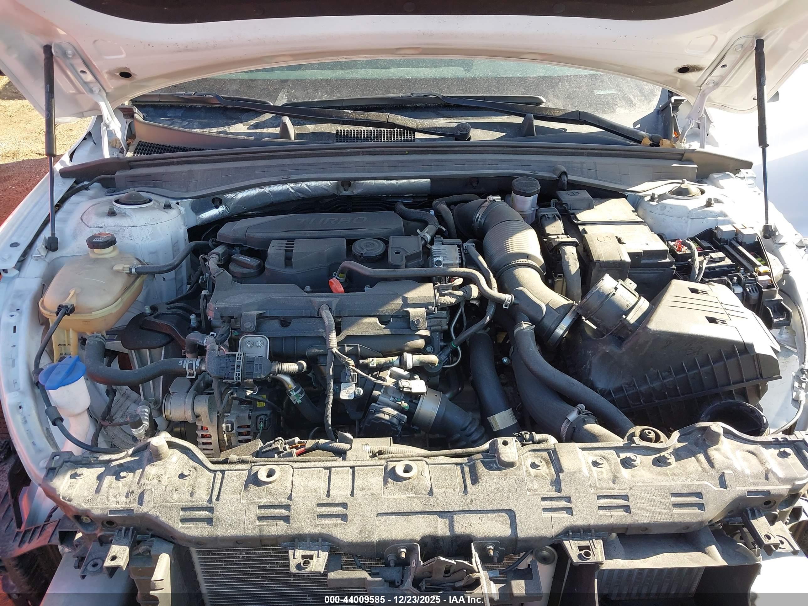KIA K5 image 10