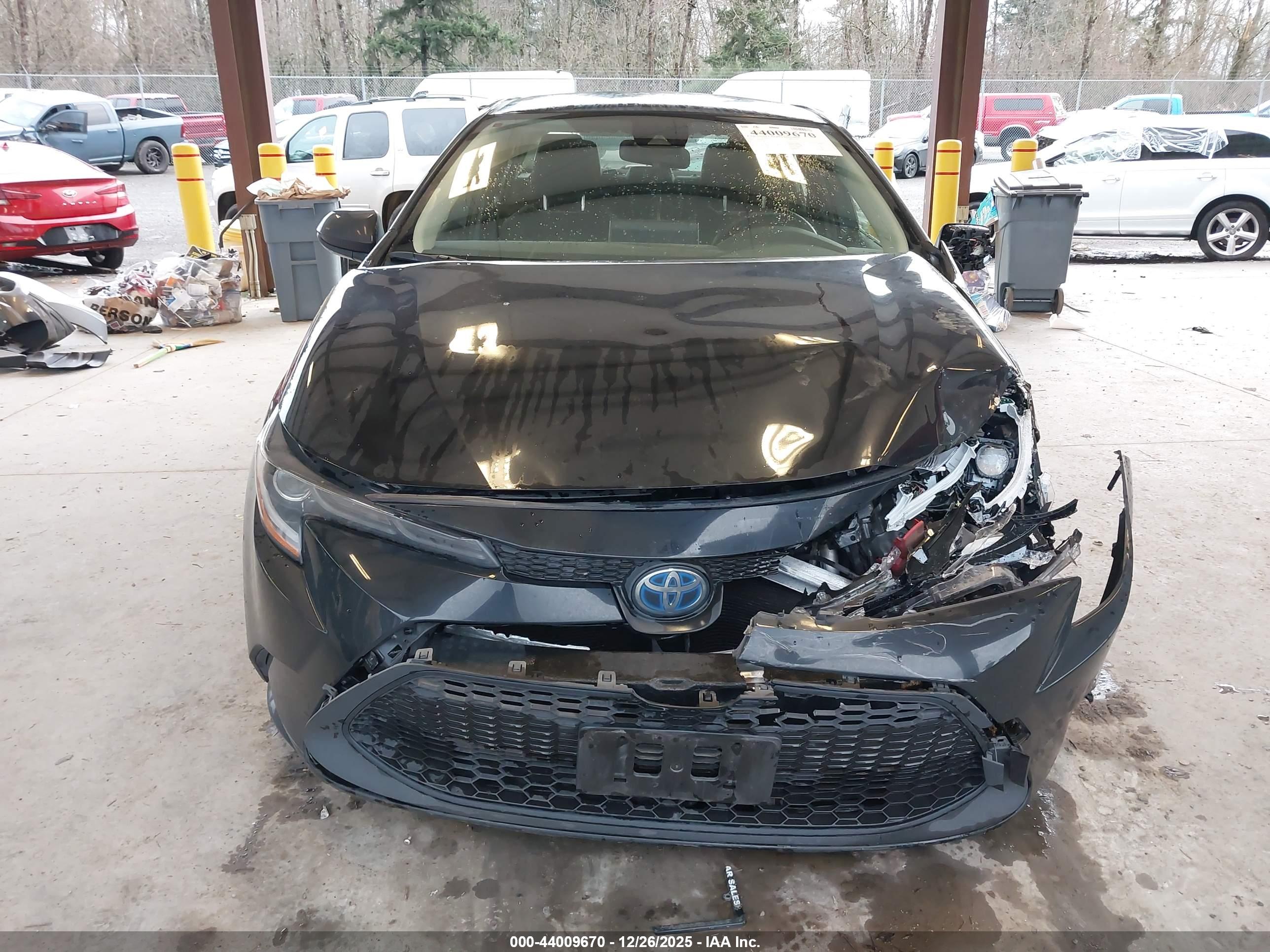TOYOTA COROLLA image 6