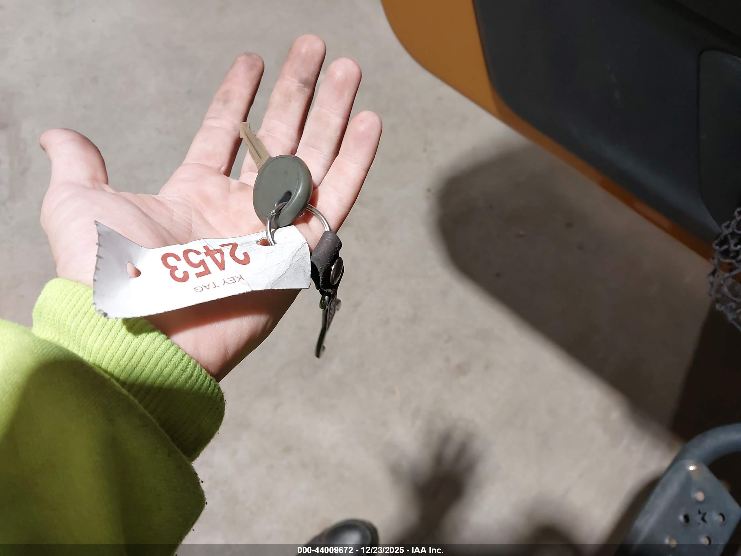 JEEP WRANGLER image 11