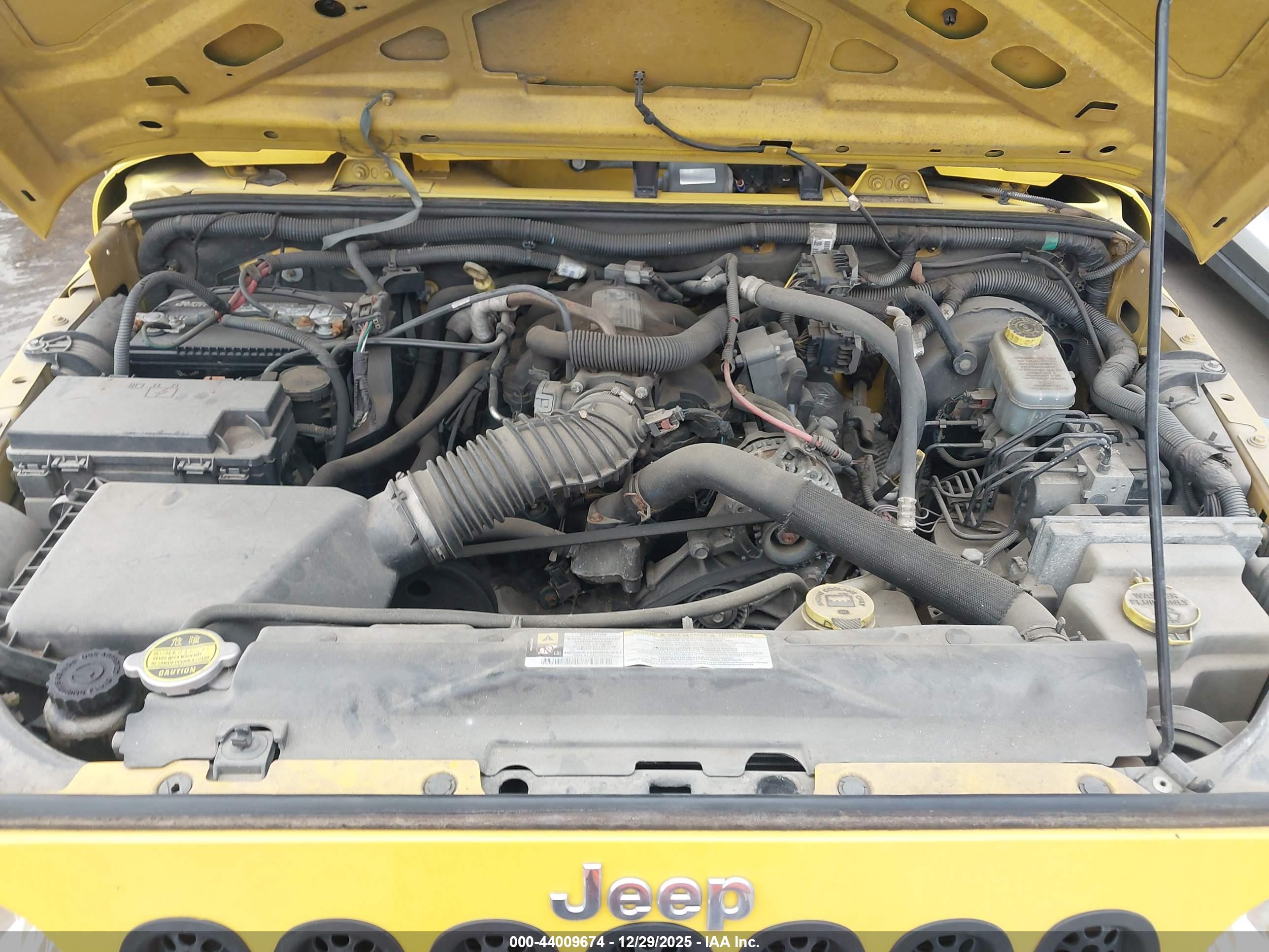 JEEP WRANGLER image 10