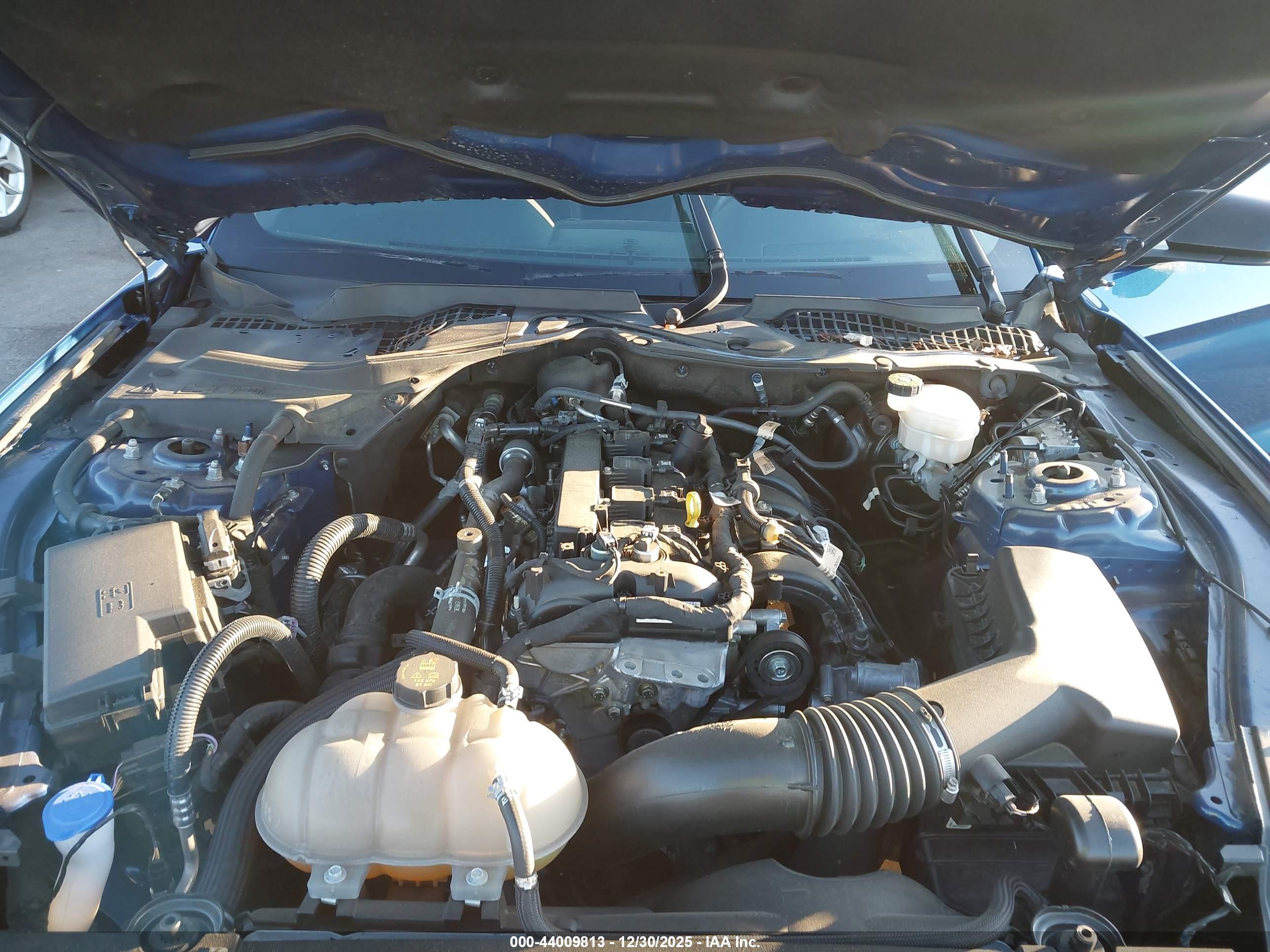FORD MUSTANG image 10