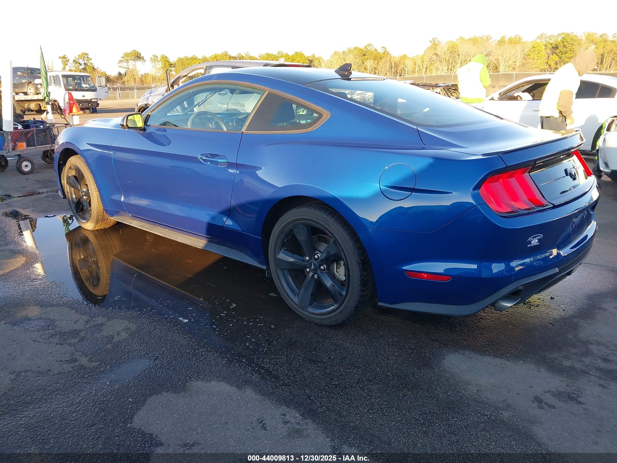 FORD MUSTANG image 3