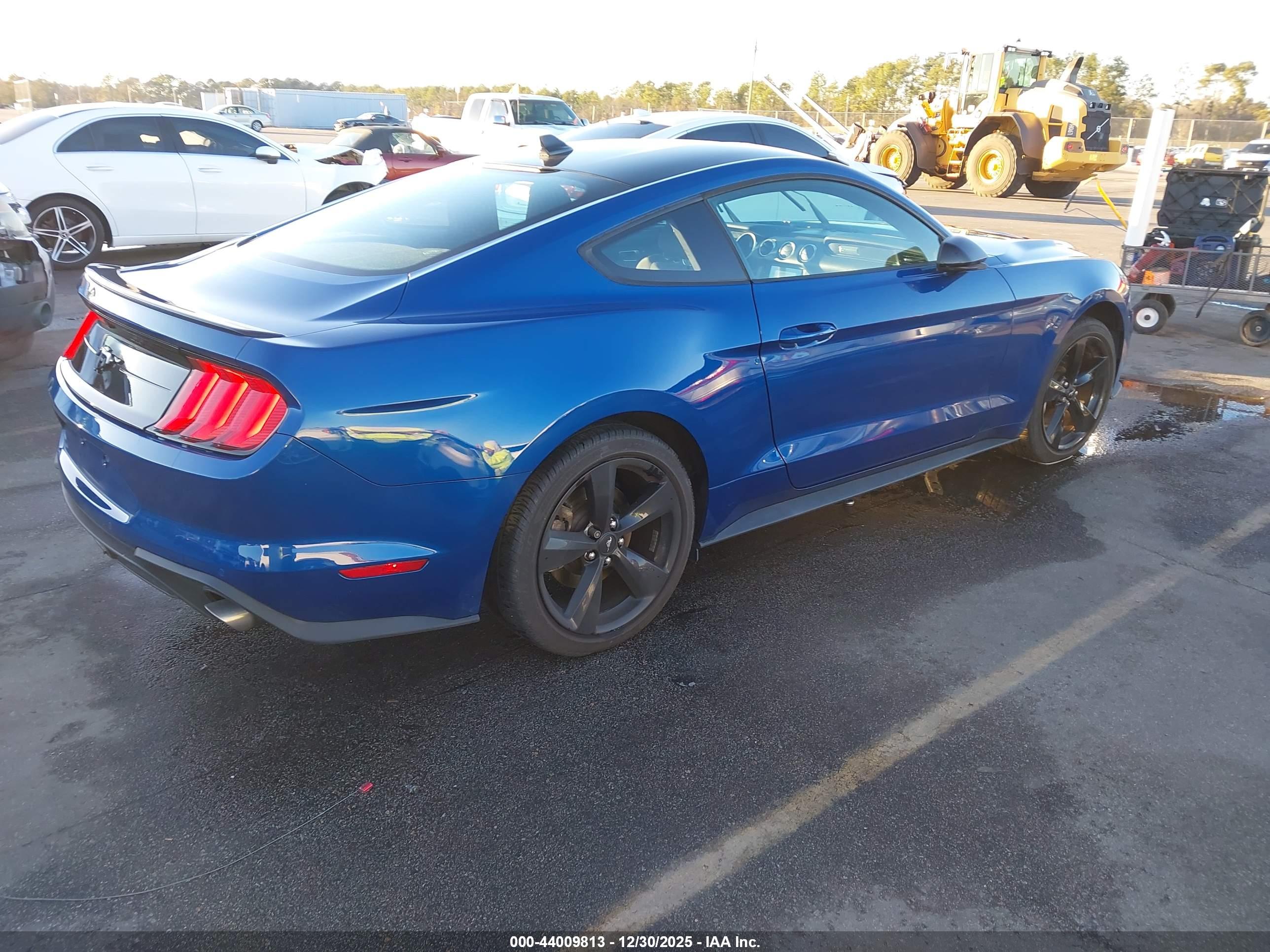 FORD MUSTANG image 4