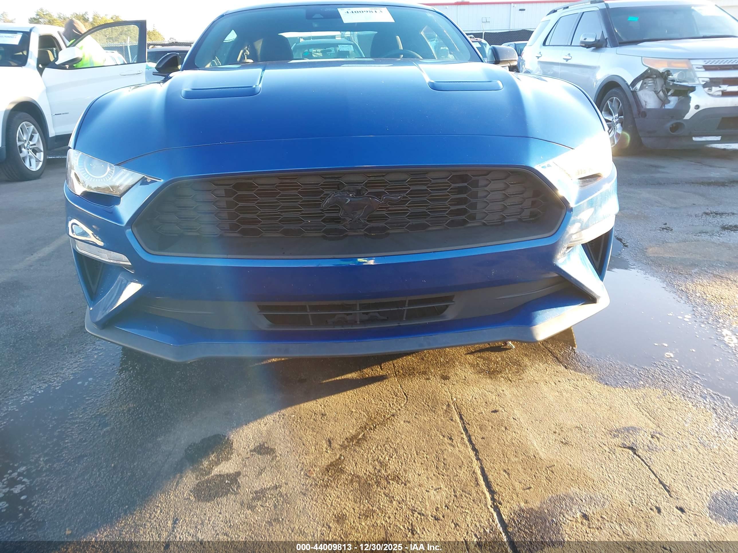 FORD MUSTANG image 6