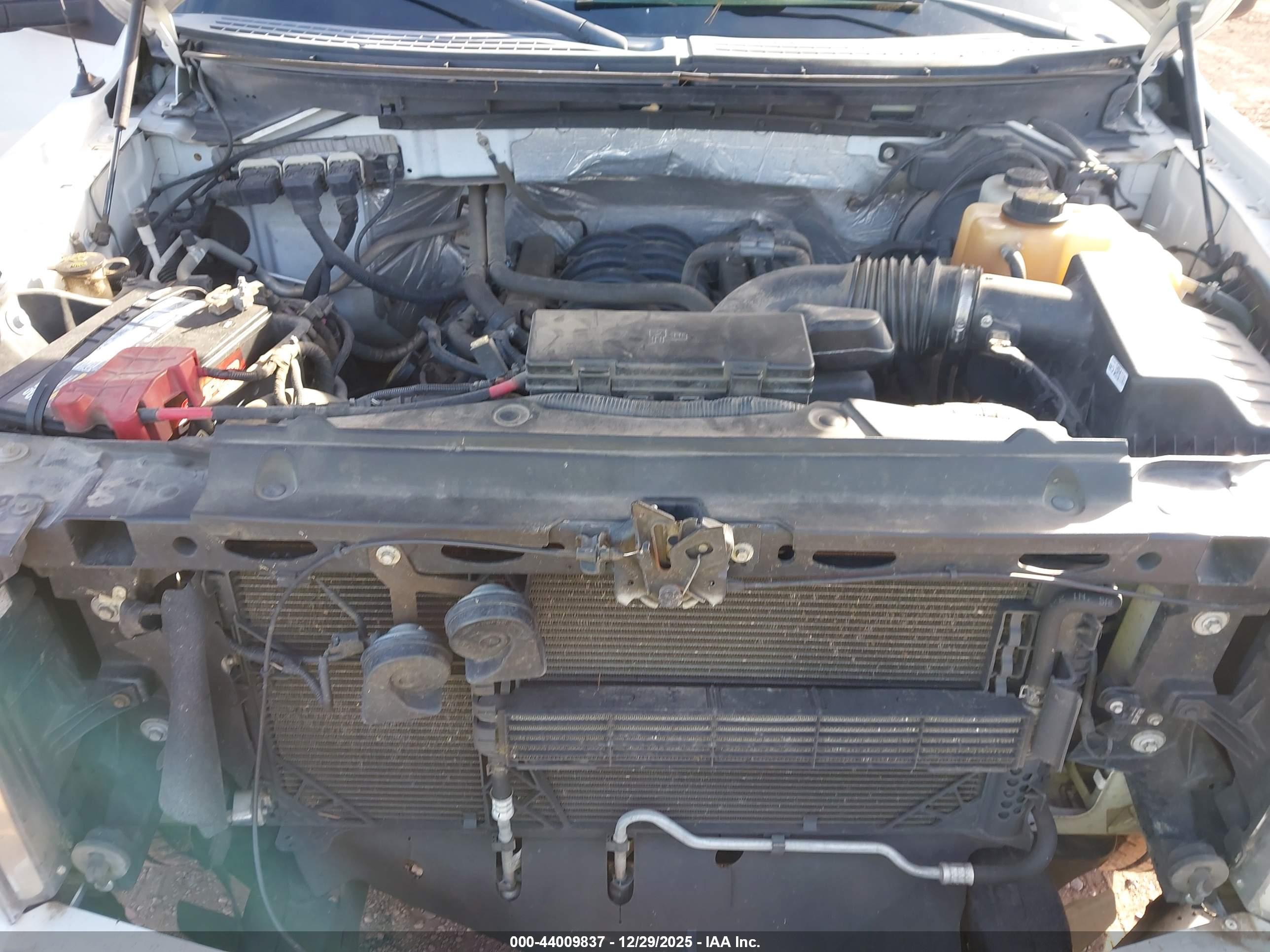 FORD F-150 image 10