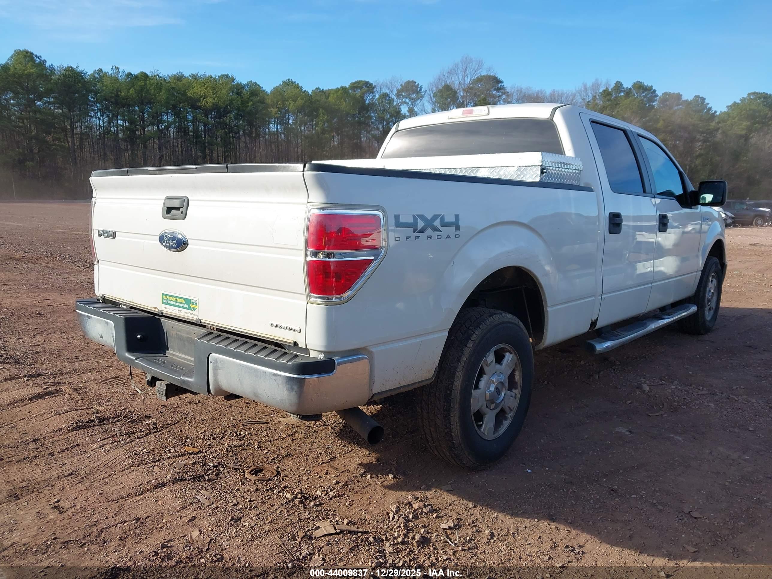 FORD F-150 image 4