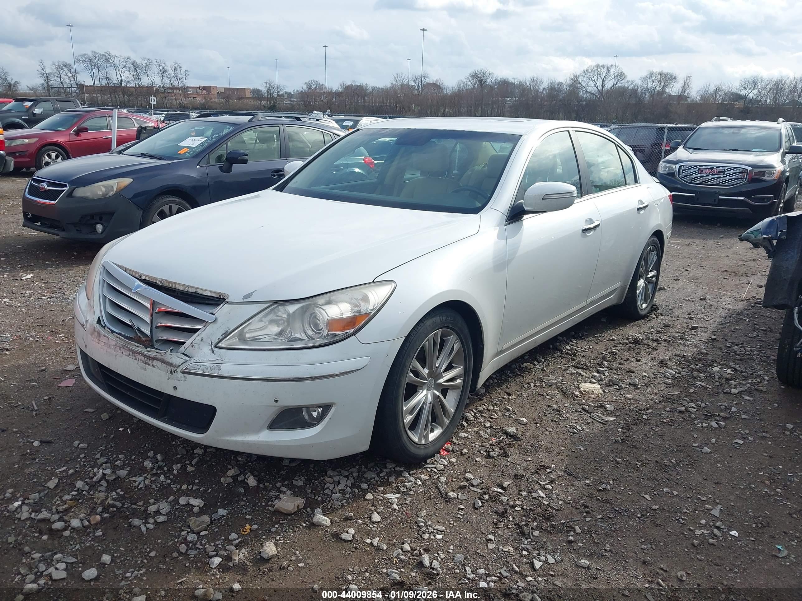 HYUNDAI GENESIS image 2