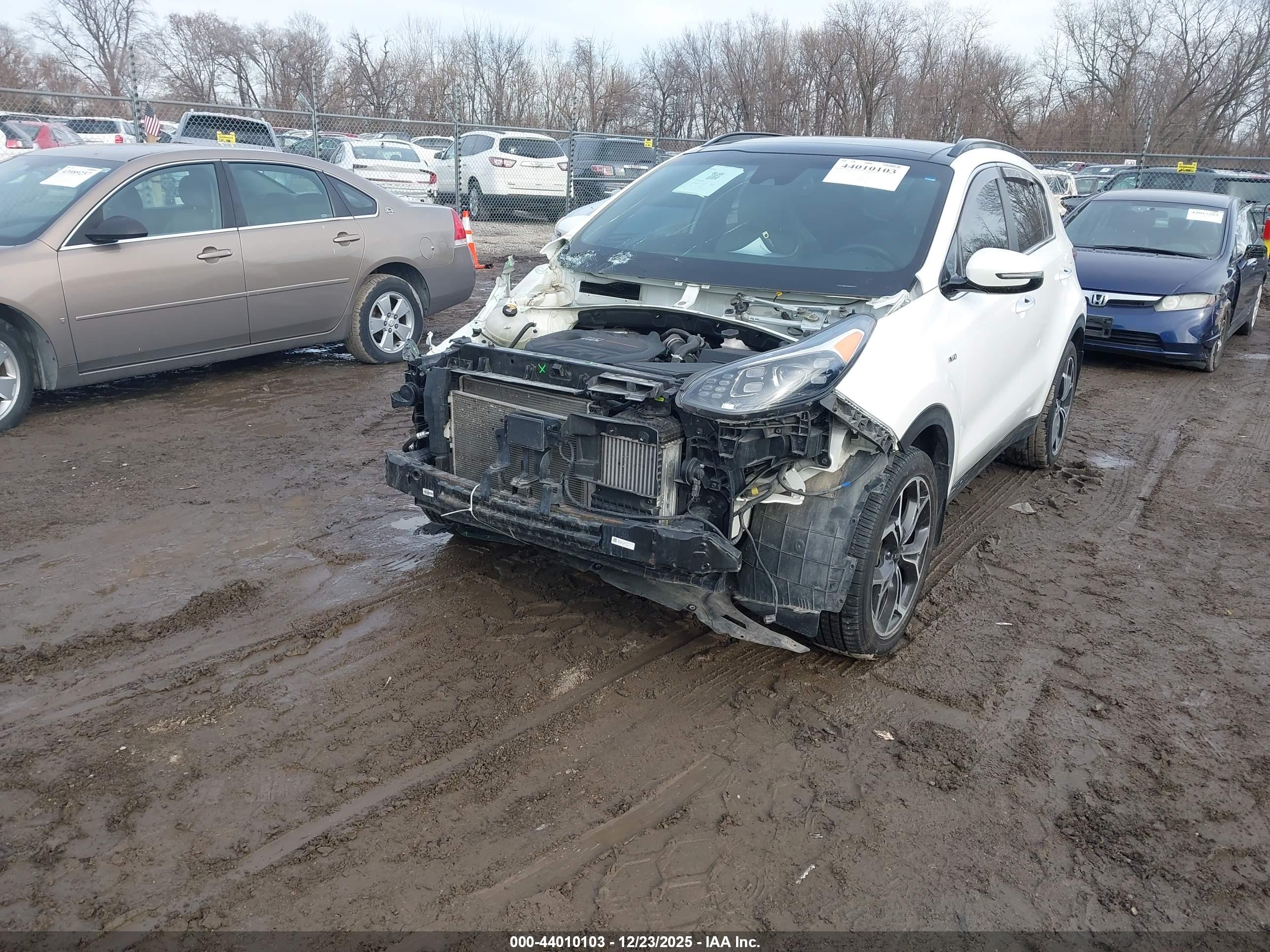 KIA SPORTAGE image 2
