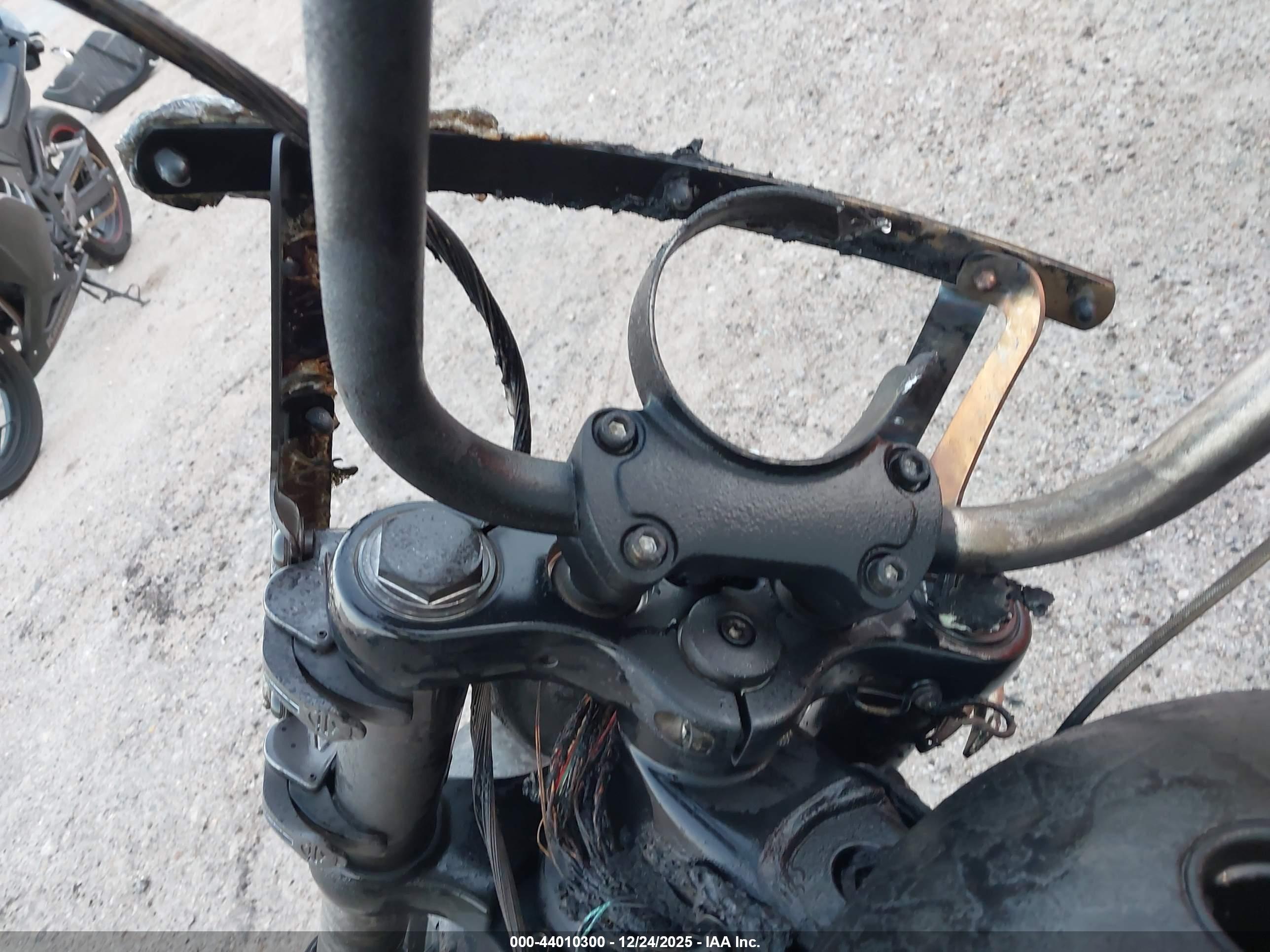HARLEY-DAVIDSON FXBB image 7